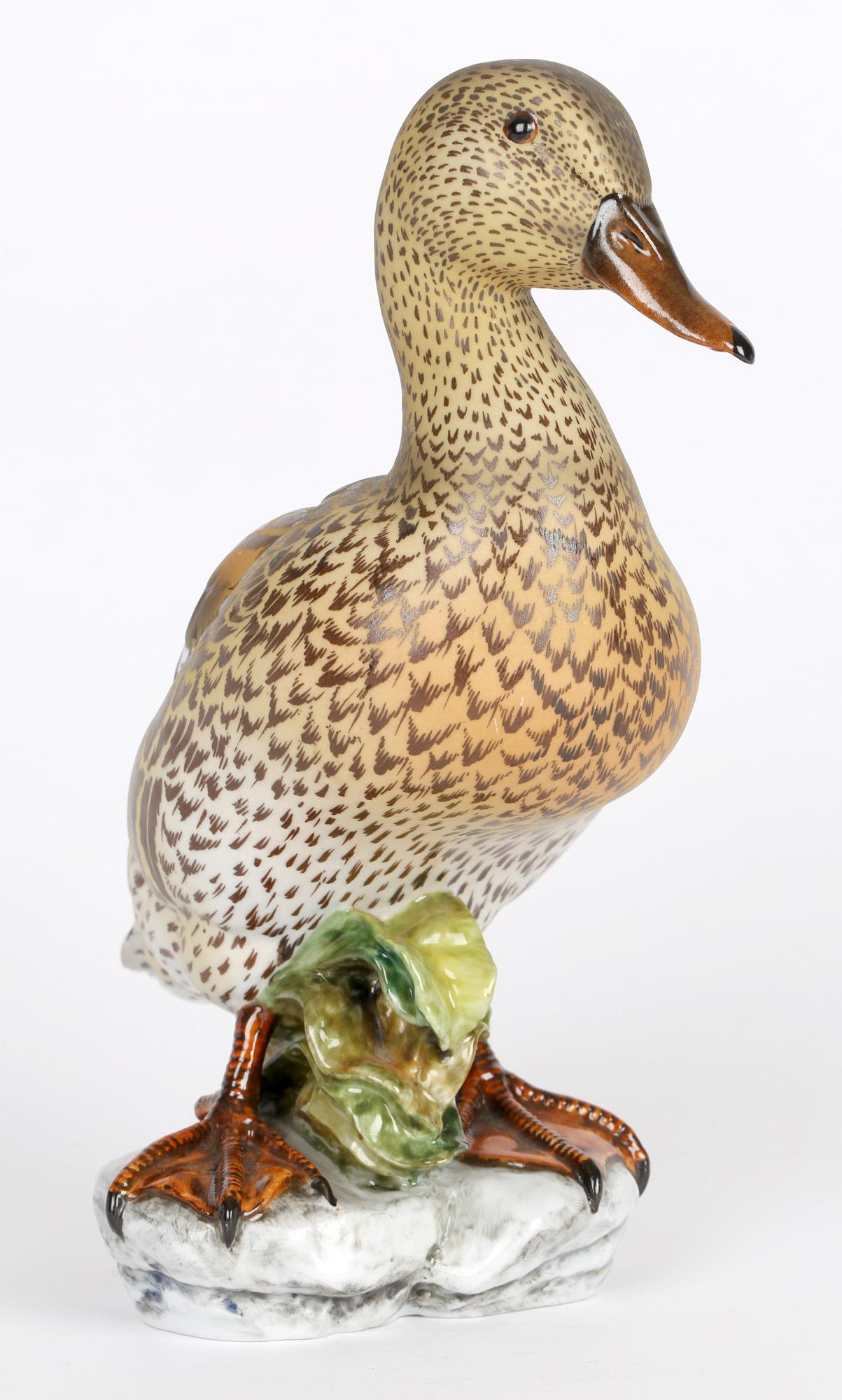A very fine and naturalistic Spanish porcelain figure of duck signed C Martino and dating from the 20th century. The duck stands raised on a molded rock work base applied with green leafed shrub. The duck has wide open webbed feet naturalistically