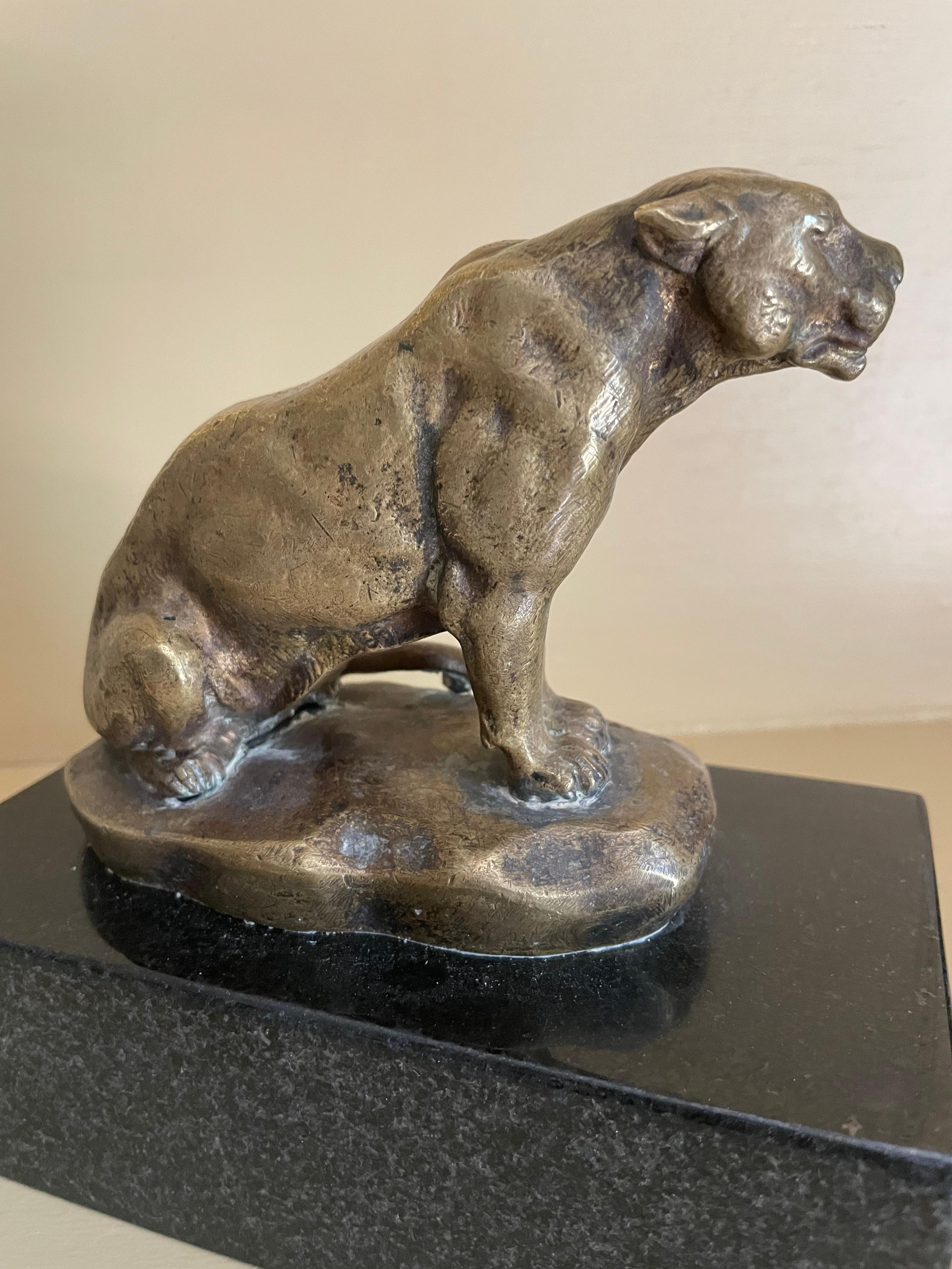 C. Masson Gilt bronze Panther Sculpture. Seated panther in soft gilt patinated bronze on modeled rock base by the French animal sculptor Clovis Edward Masson 1838-1913., on black marble plinth. France, circa 1930's
Dimensions: Panther: 5