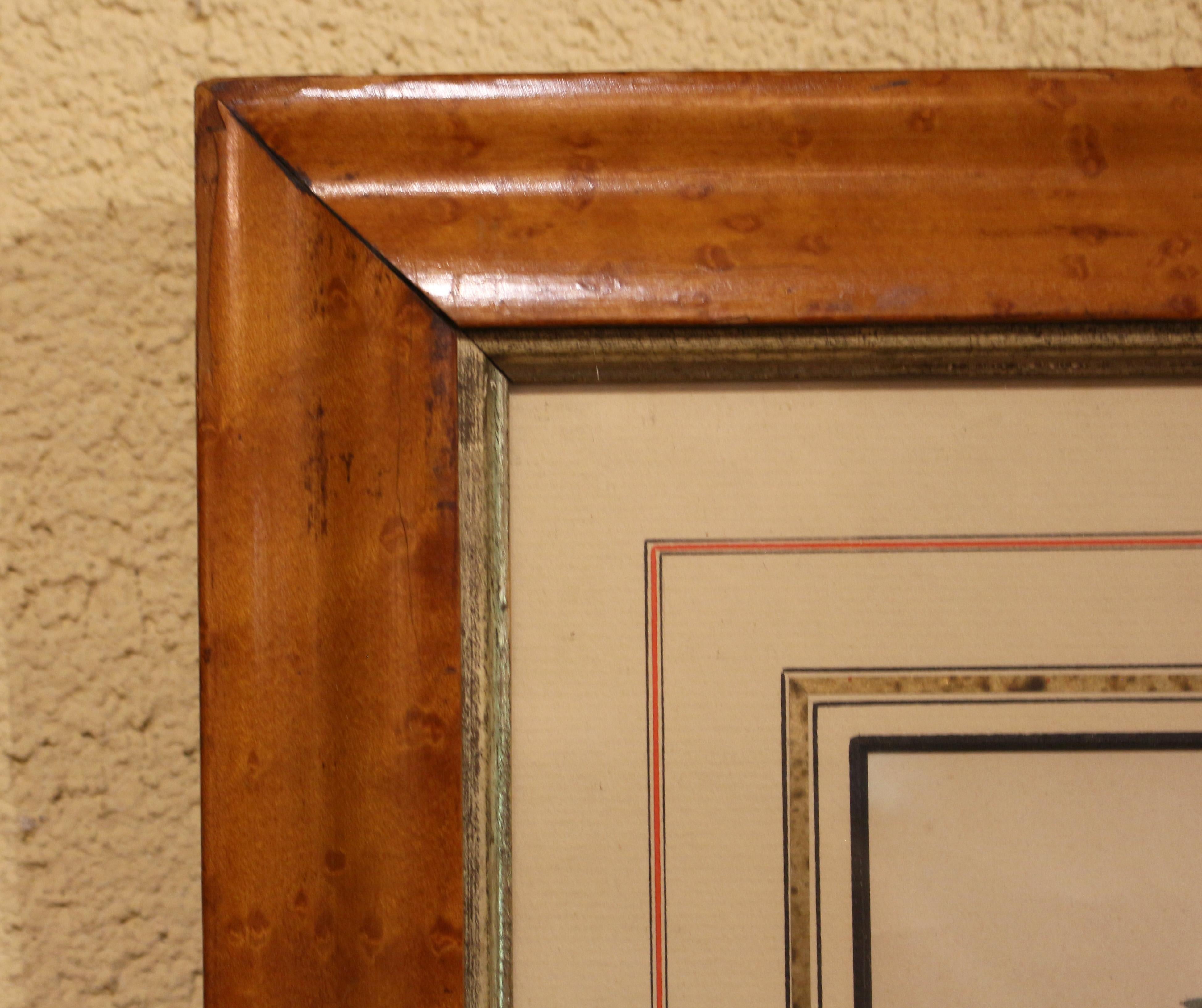 Mid-late 19th century chromolithograph botanical print in period frame, likely American, unmarked. The print is of grape cluster in period bird's eye maple frame, handsomely matted. Not examined out of the frame. Minor discoloration to the upper