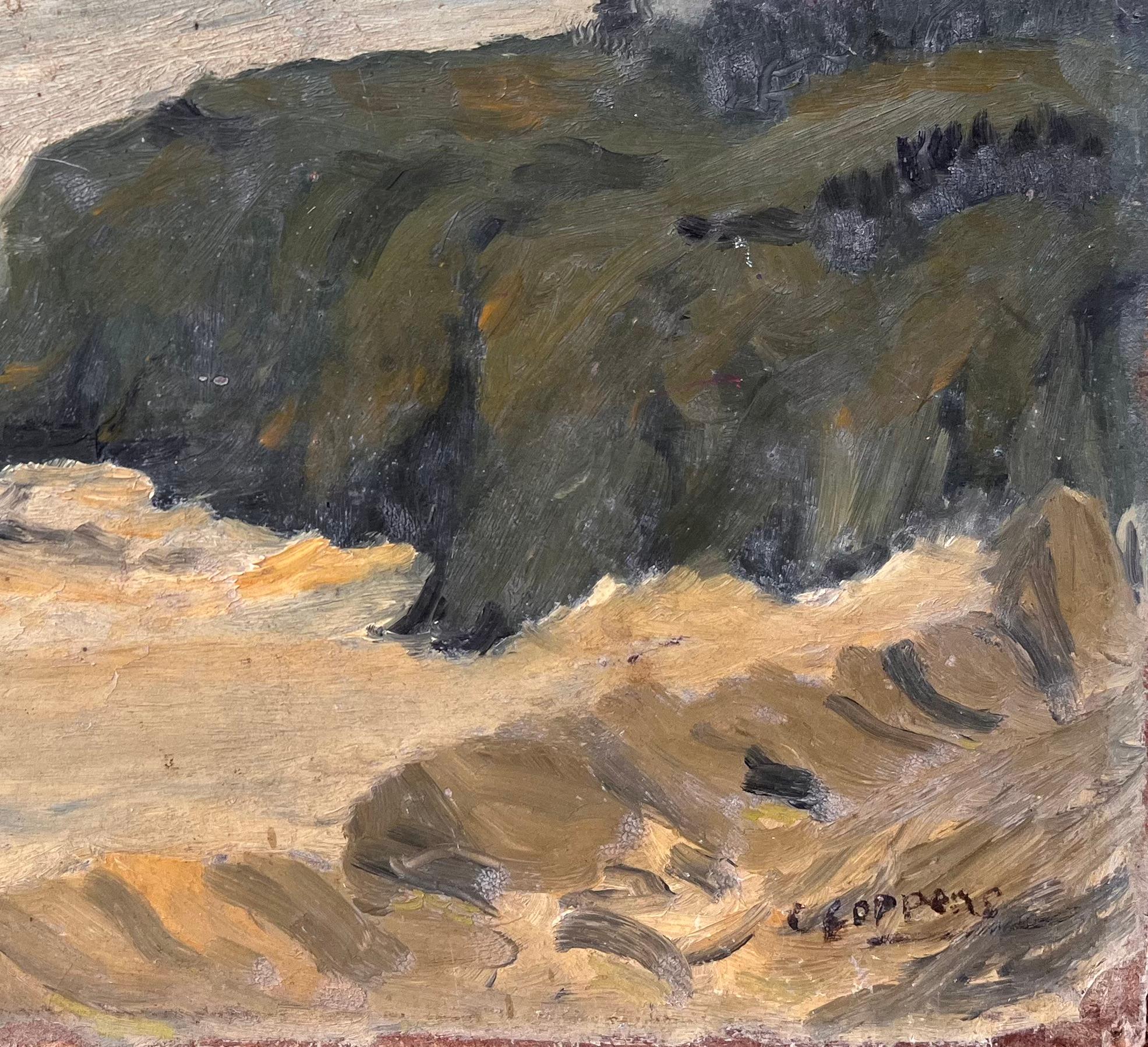 Paysage côtier impressionniste avec falaises et ciel coulé par C Roppens - Impressionnisme Painting par C. Roppens