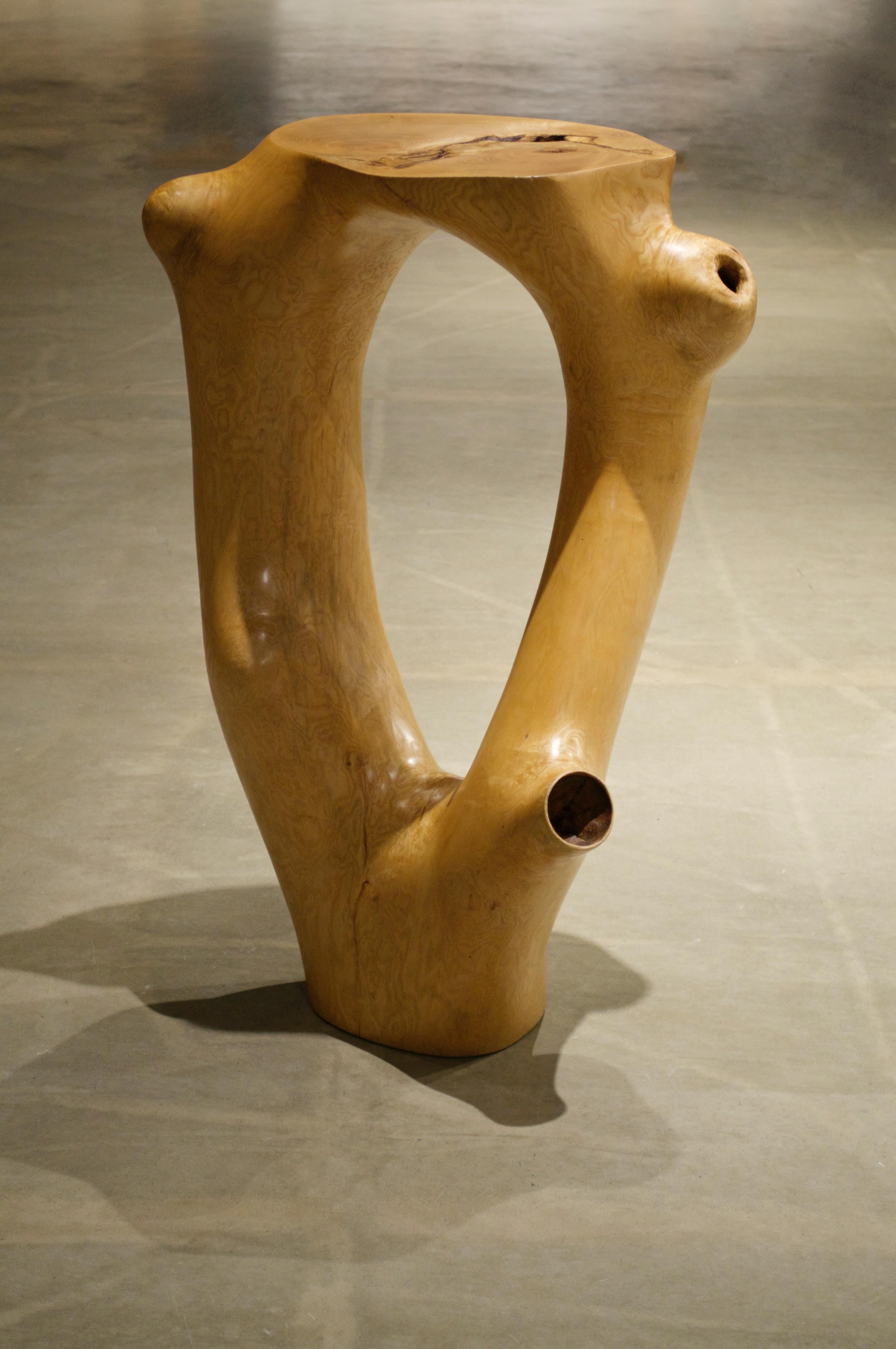 C1051 Decorative Table in Beech Wood by Jörg Pietschmann For Sale 7