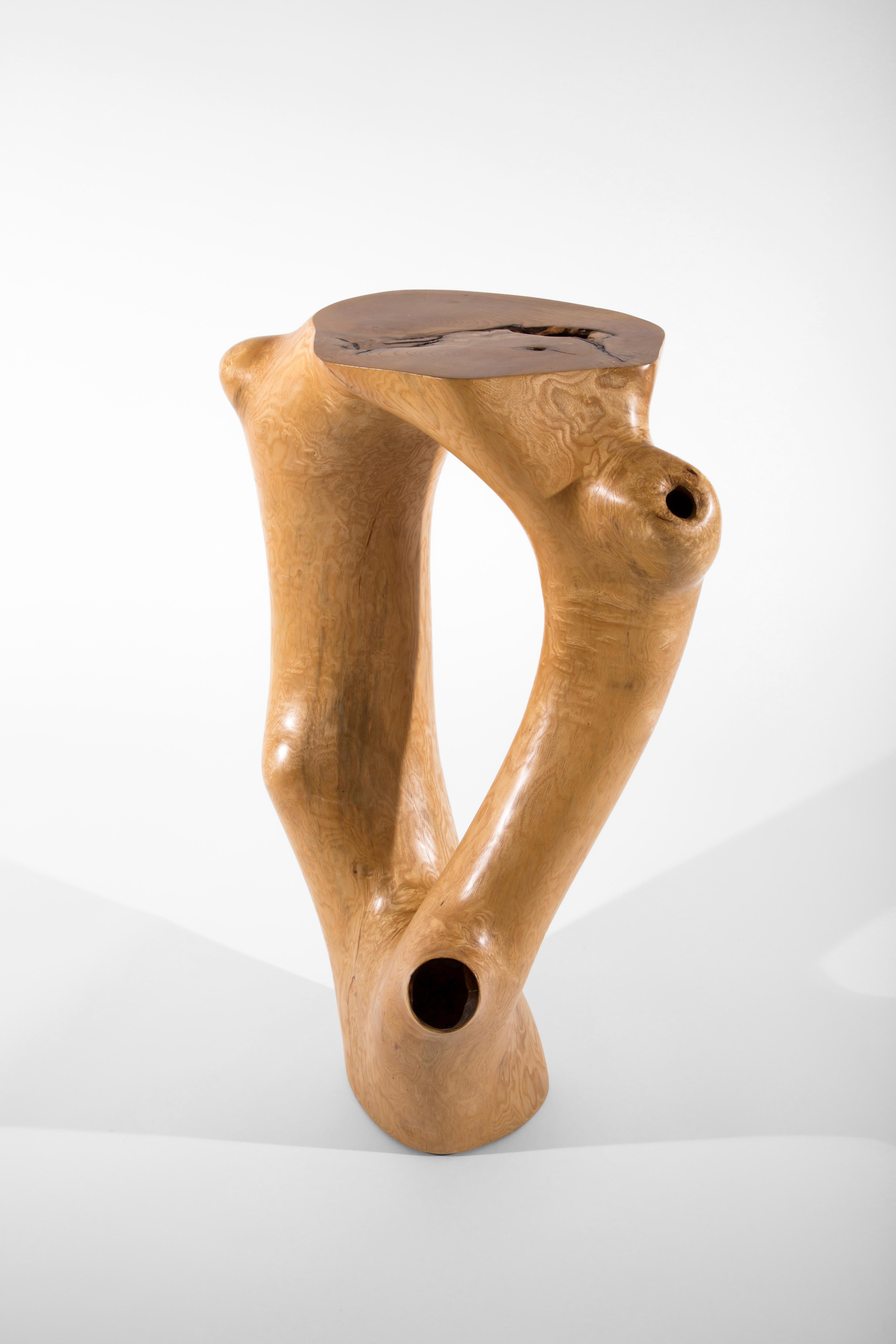 C1051 Decorative Table in Beech Wood by Jörg Pietschmann For Sale 8