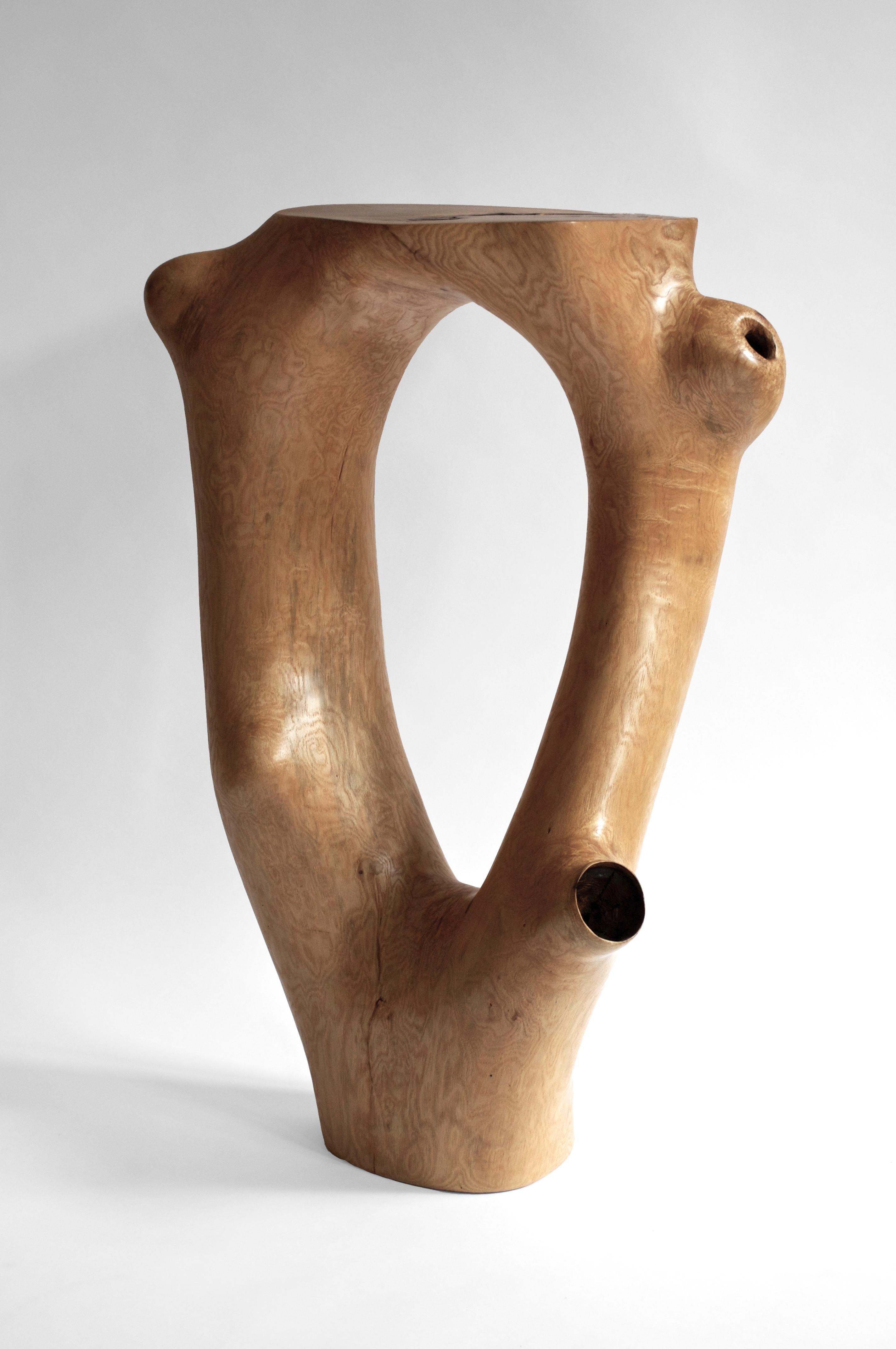 C1051 Decorative Table in Beech Wood by Jörg Pietschmann For Sale 10