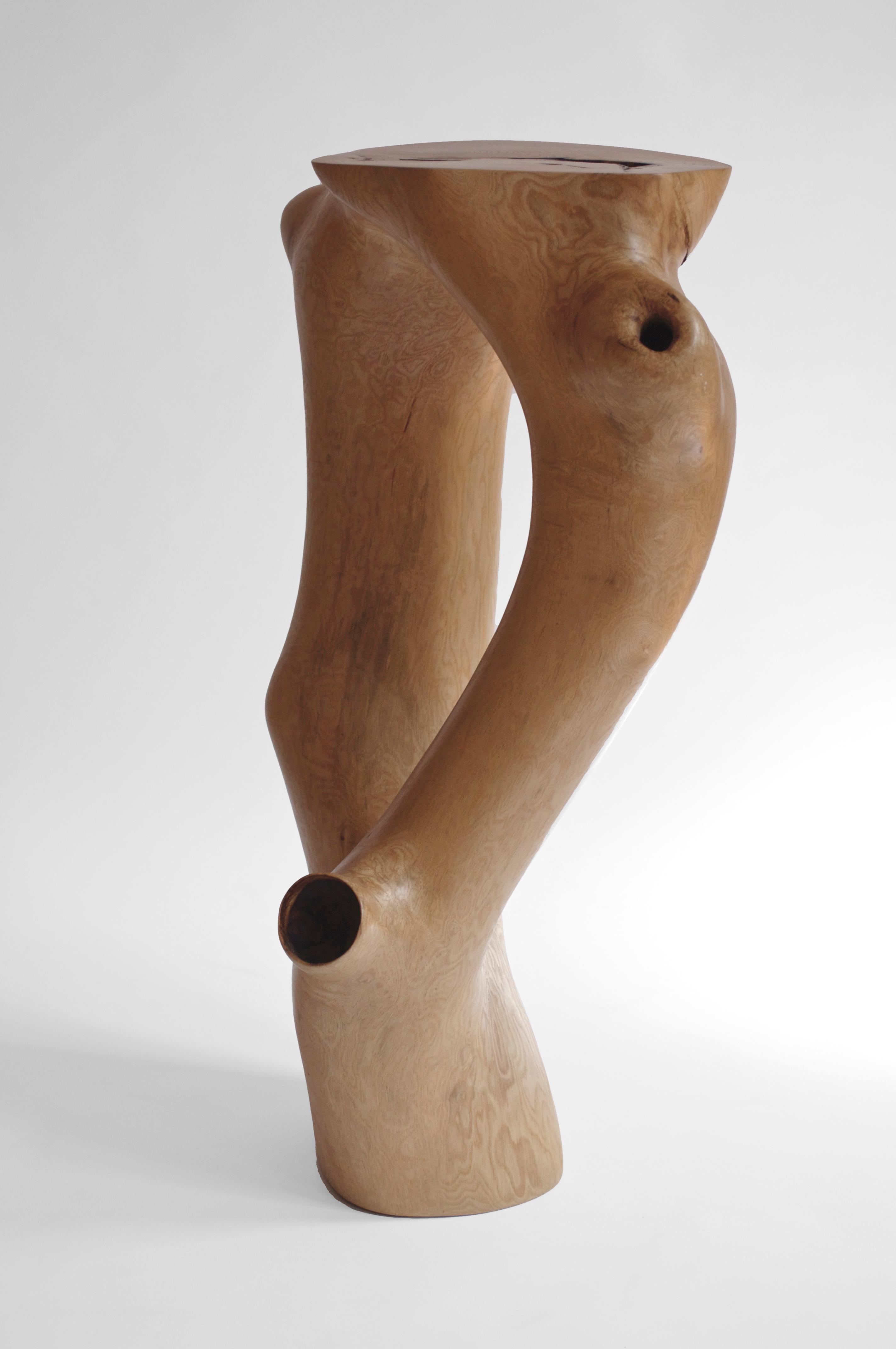 C1051 Decorative Table in Beech Wood by Jörg Pietschmann For Sale 11