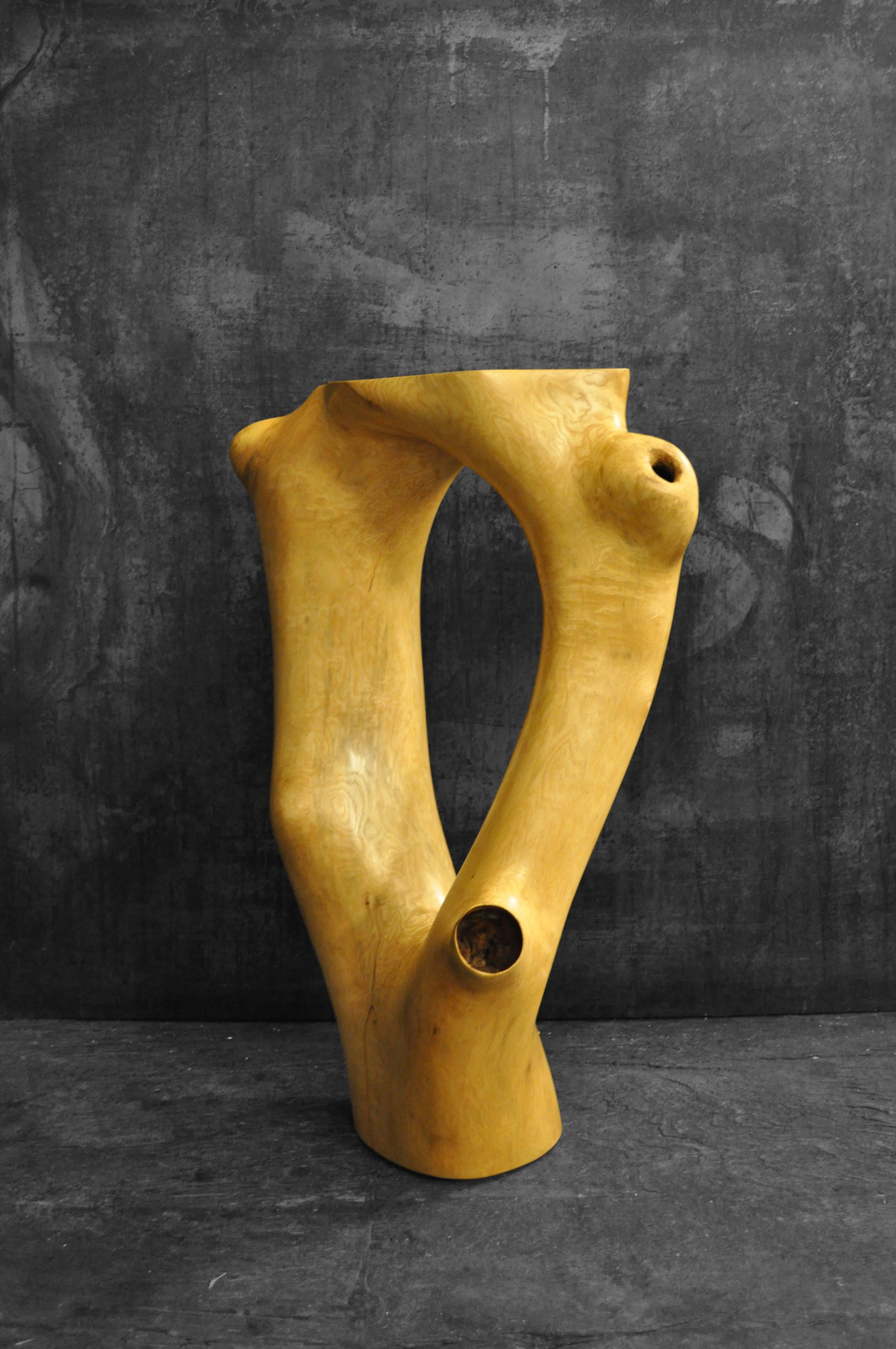 C1051 Decorative Table in Beech Wood by Jörg Pietschmann
Dimensions: D 42 x W 50 x H 77 cm.
Materials: Beech wood.

In Pietschmann’s sculptures, trees that for centuries were part of a landscape and founded in primordial forces tell stories