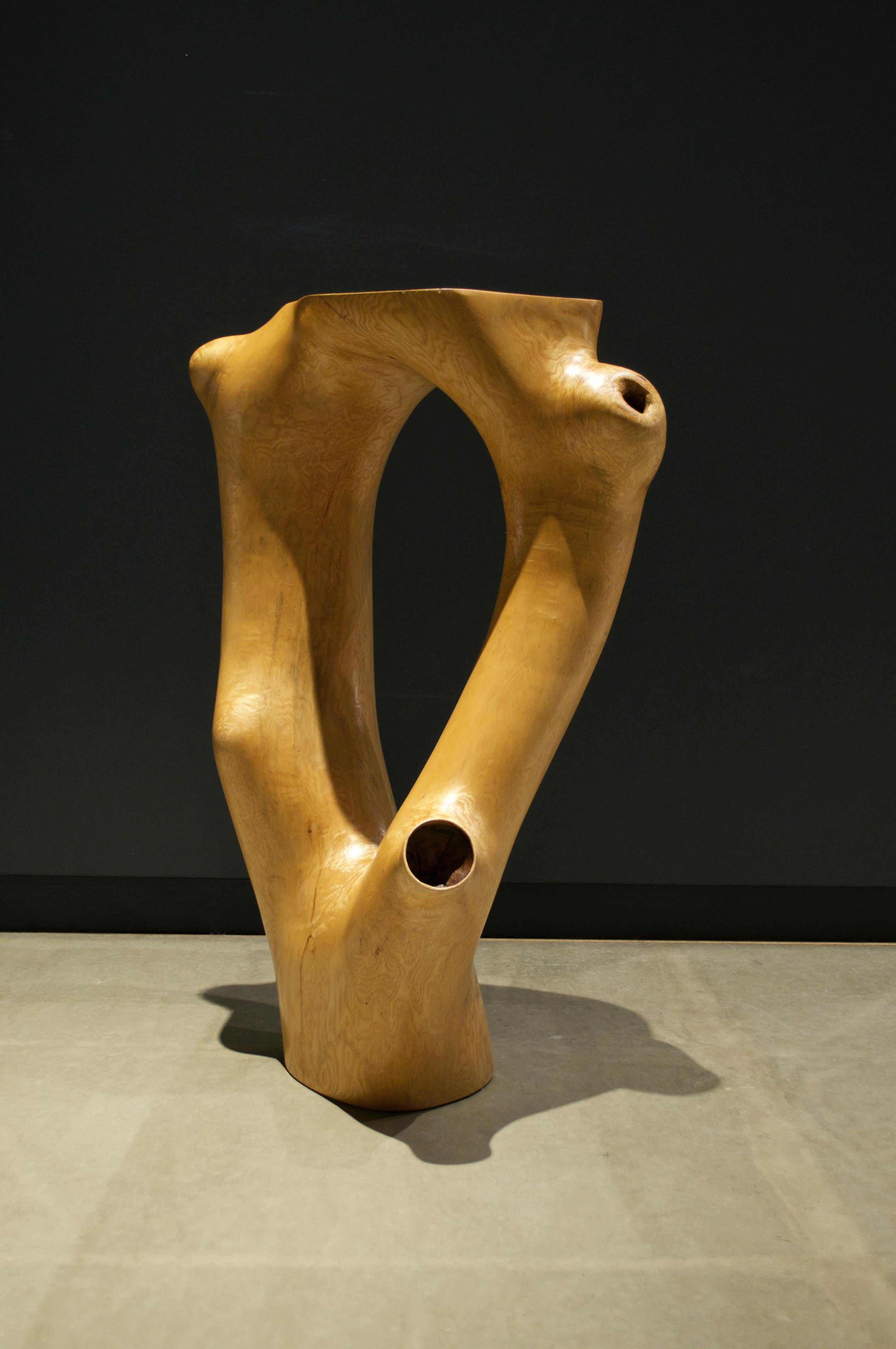 German C1051 Decorative Table in Beech Wood by Jörg Pietschmann For Sale