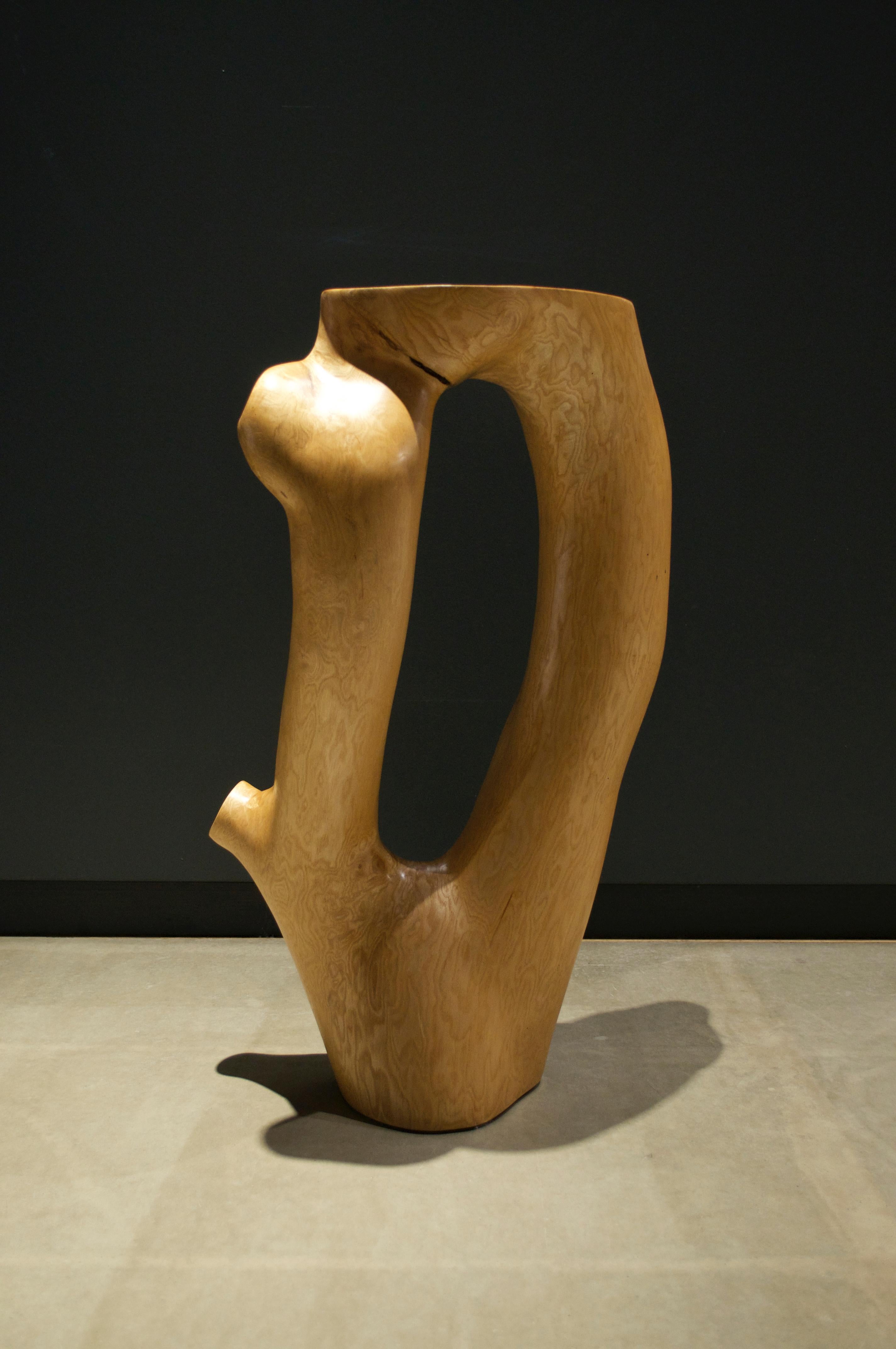 Other C1051 Decorative Table in Beech Wood by Jörg Pietschmann For Sale