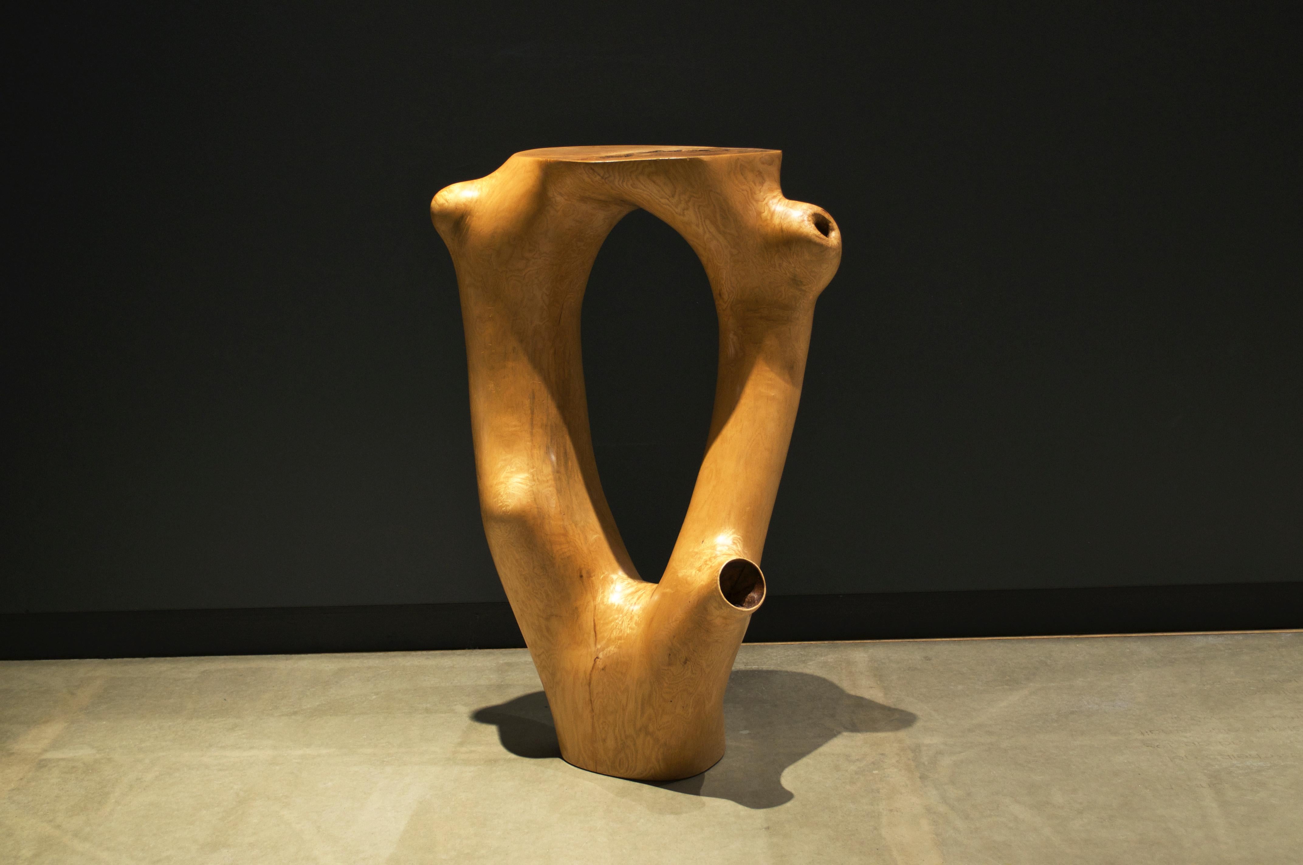 C1051 Decorative Table in Beech Wood by Jörg Pietschmann For Sale 1