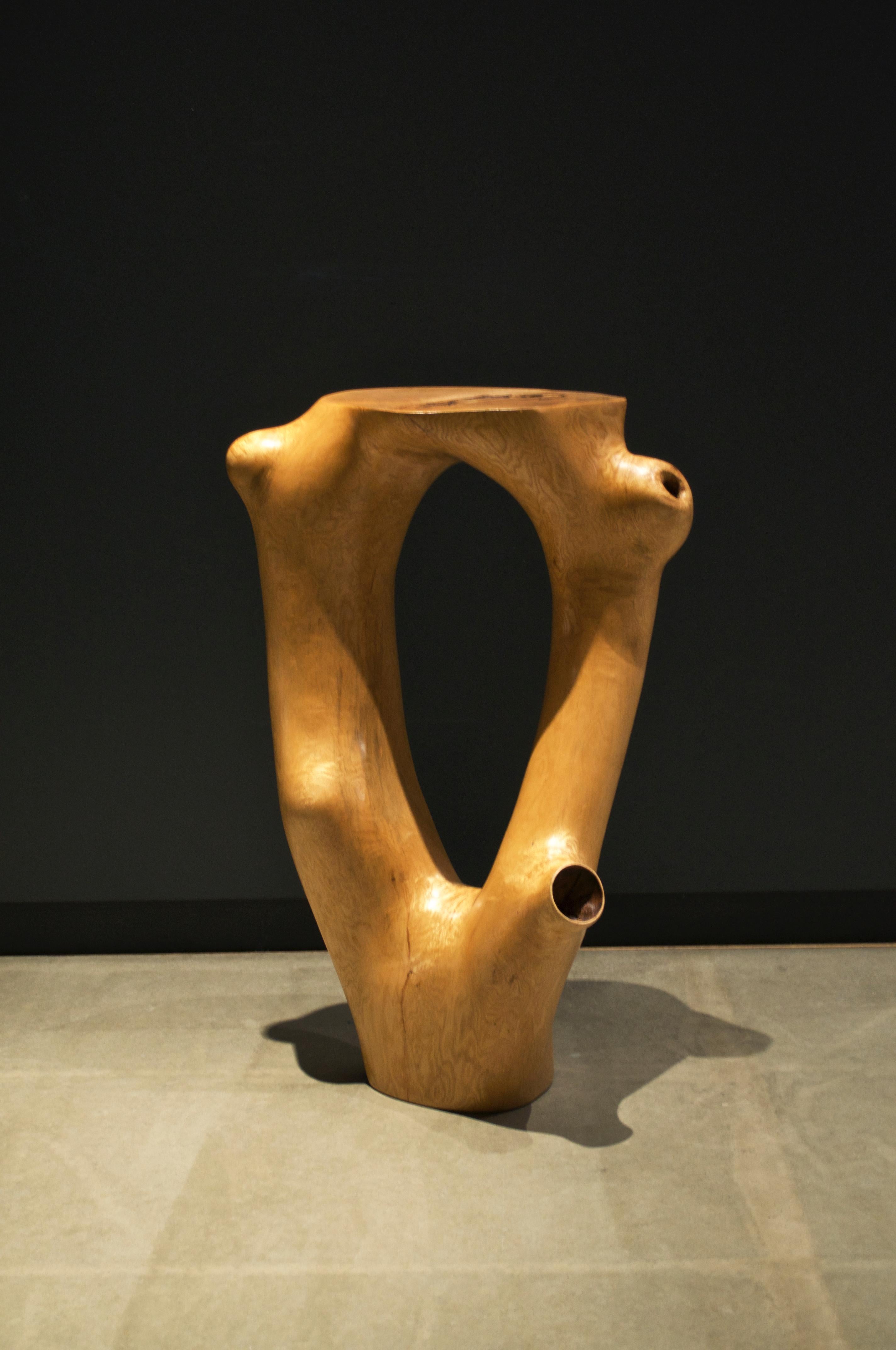 C1051 Decorative Table in Beech Wood by Jörg Pietschmann For Sale 2