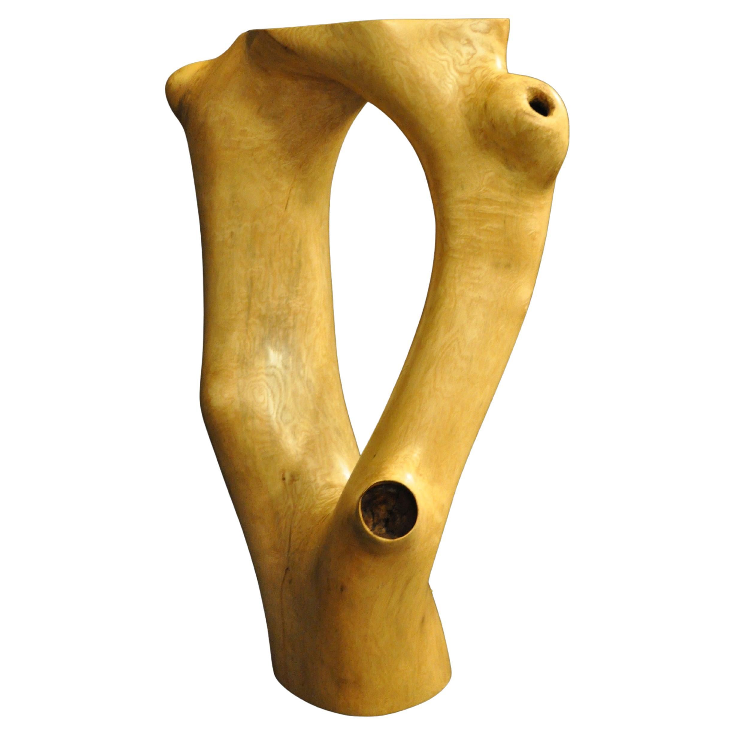 C1051 Decorative Table in Beech Wood by Jörg Pietschmann For Sale