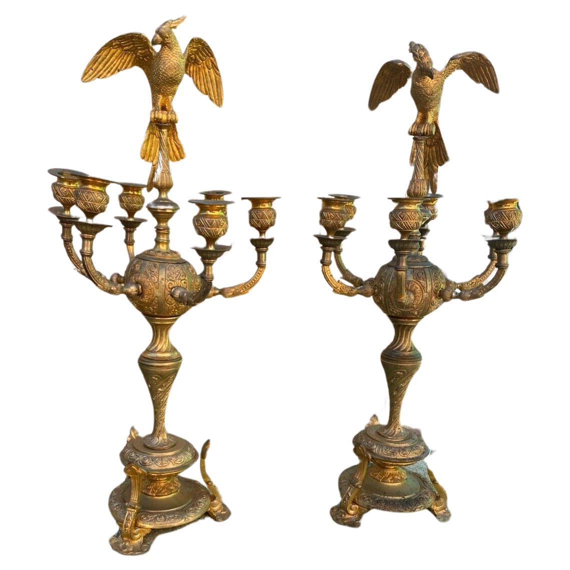 Paar große französische vergoldete Bronze-Kandelaber mit Opposing-Kopf und Papagei-Kandelaber, um 1800, großformatig im Angebot