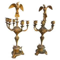 Antique c1800 Pair Huge French Gilt Bronze Opposing Head Parrot Candelabra - Grand Scale