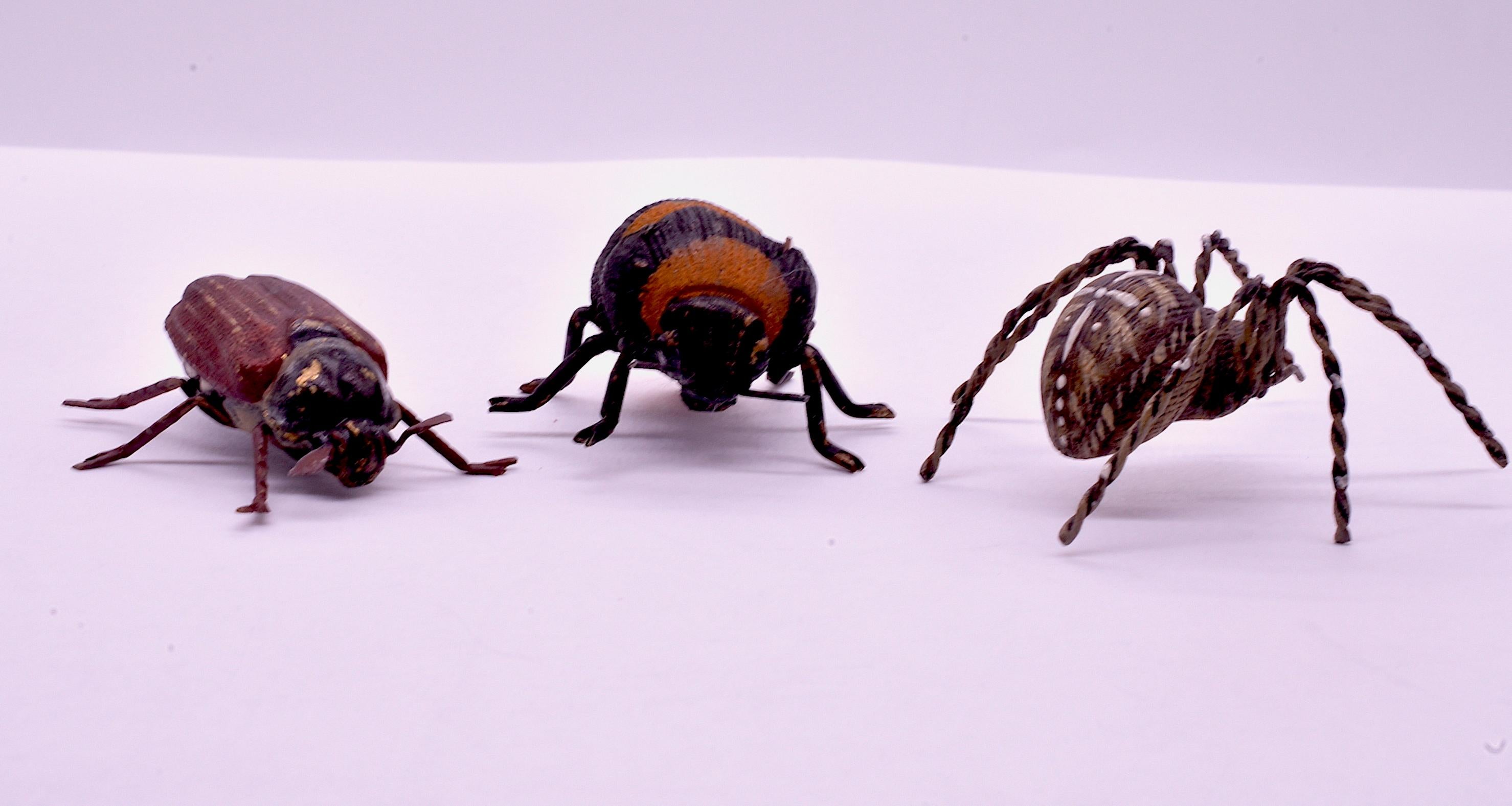 C1880 Austrian Bronze Realistic Tarantula Spider 10