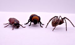 C1880 Austrian Bronze Realistic Tarantula Spider