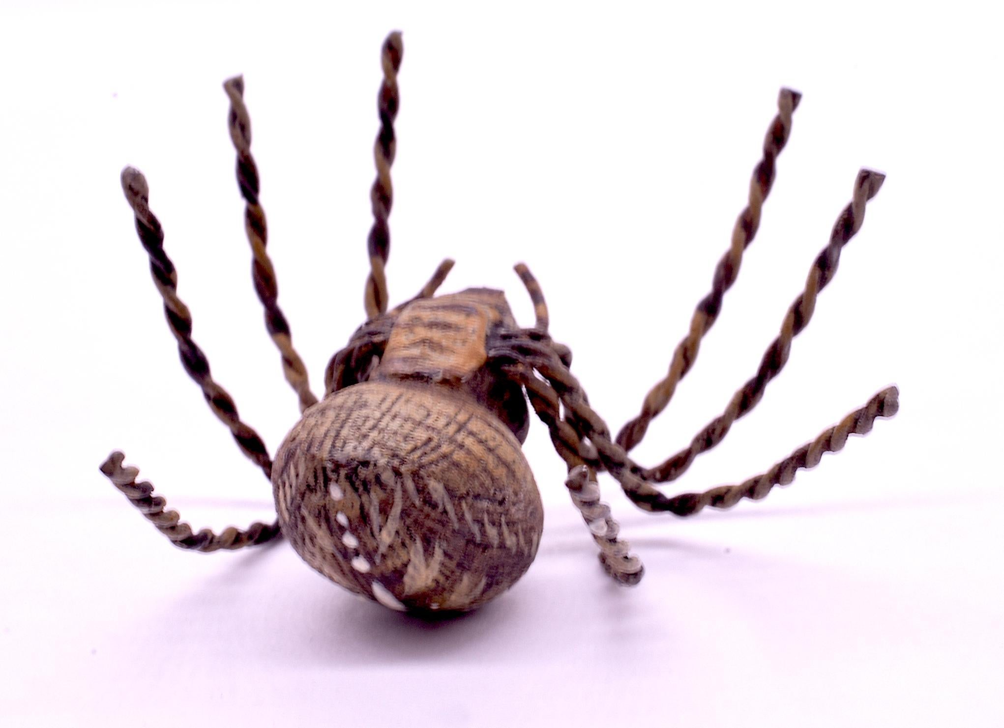 austrian spiders