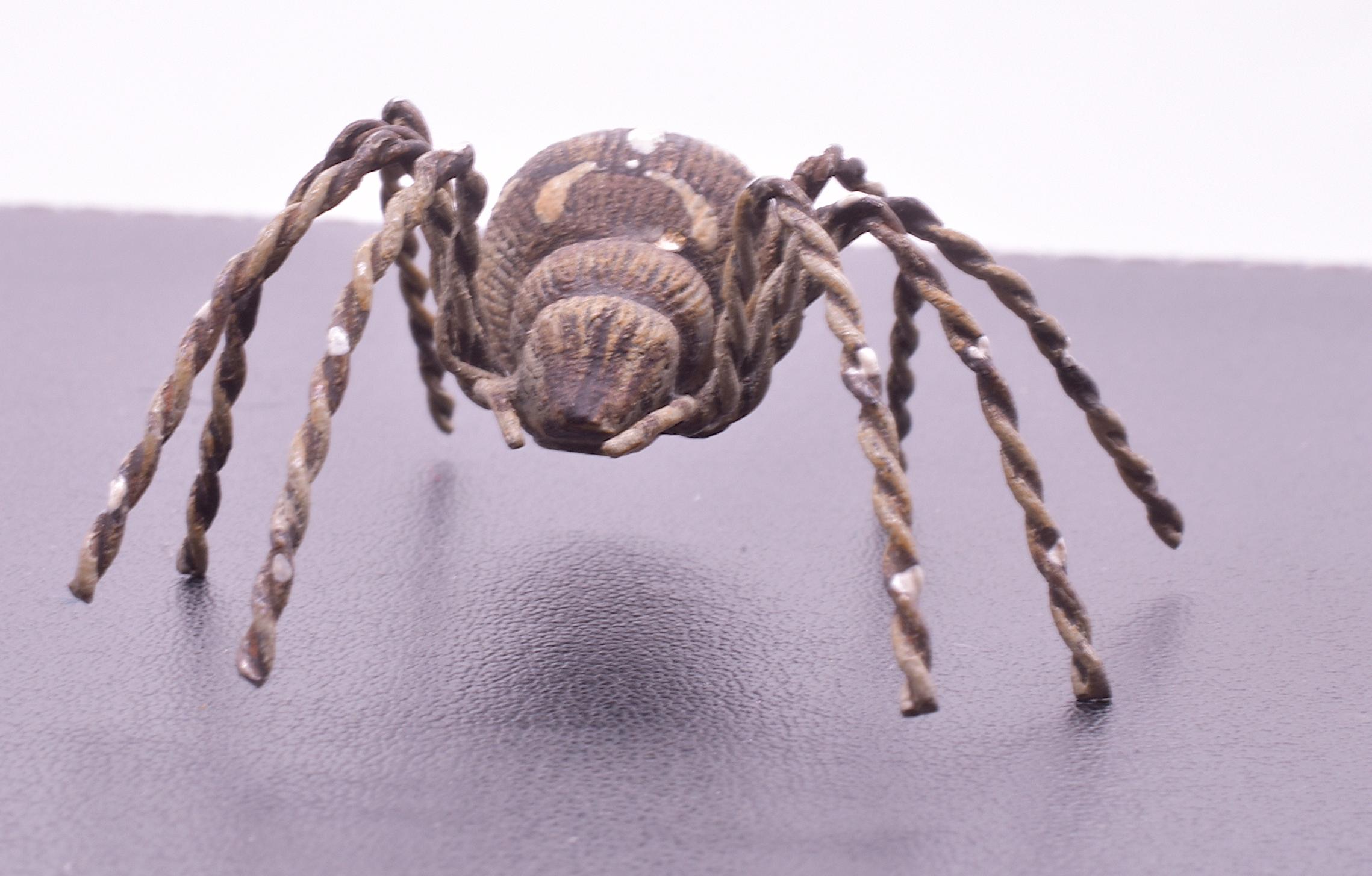 C1880 Austrian Bronze Realistic Tarantula Spider In Excellent Condition In Baltimore, MD