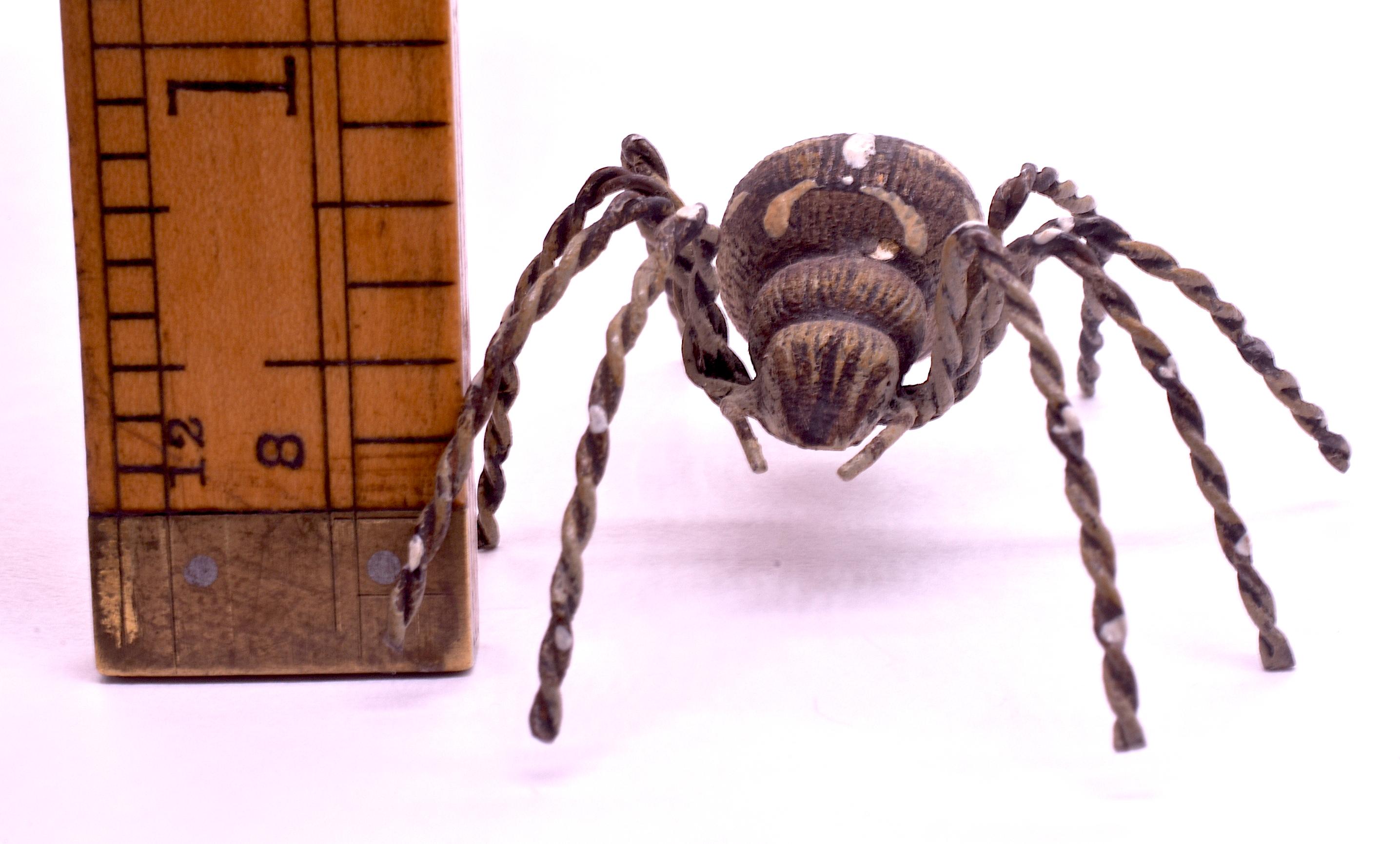 C1880 Austrian Bronze Realistic Tarantula Spider 1
