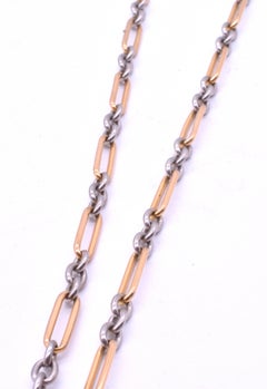 Victorian 18 Carat Yellow and White Gold Albert Chain, 15.5 in.