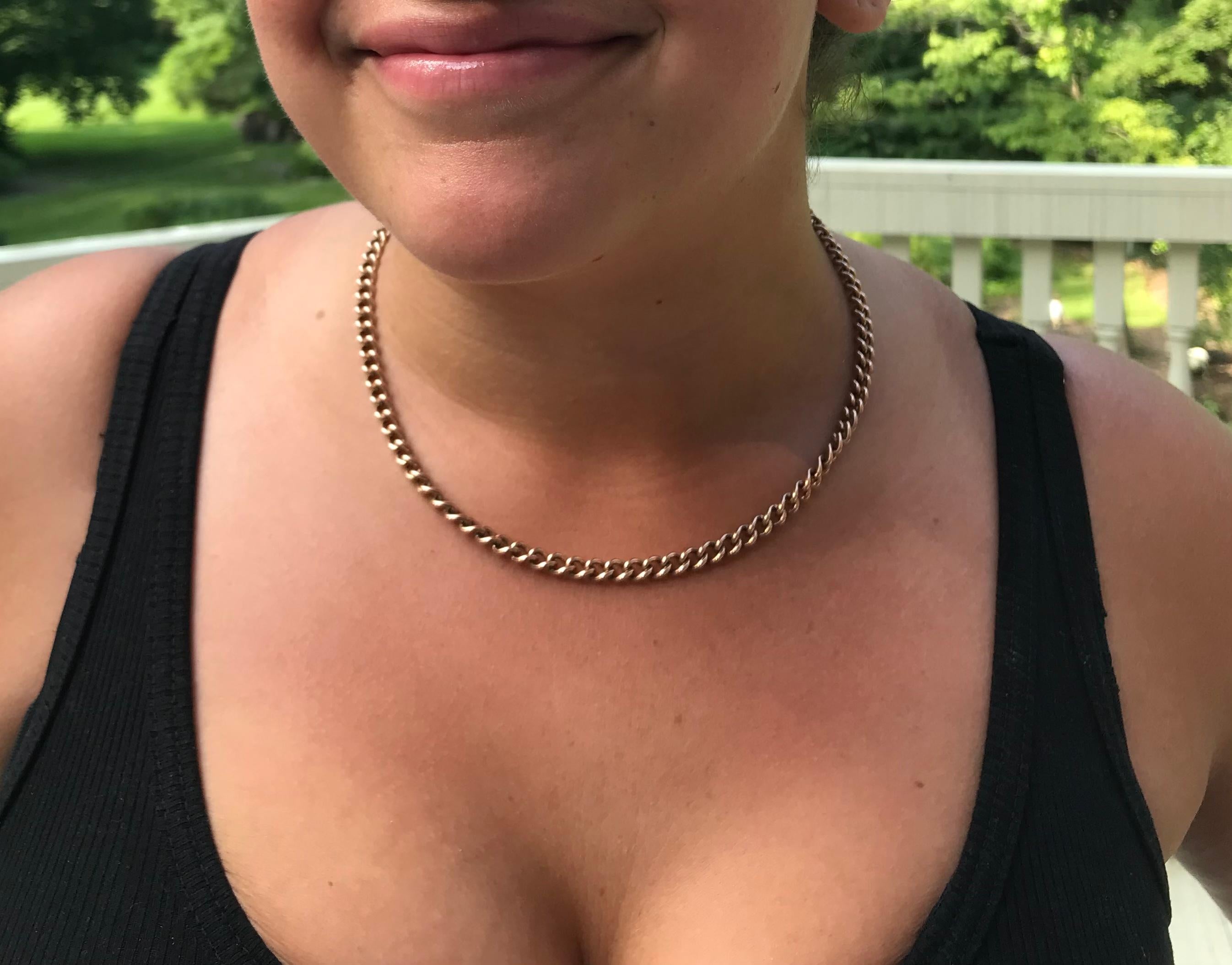 fake gold dog chain