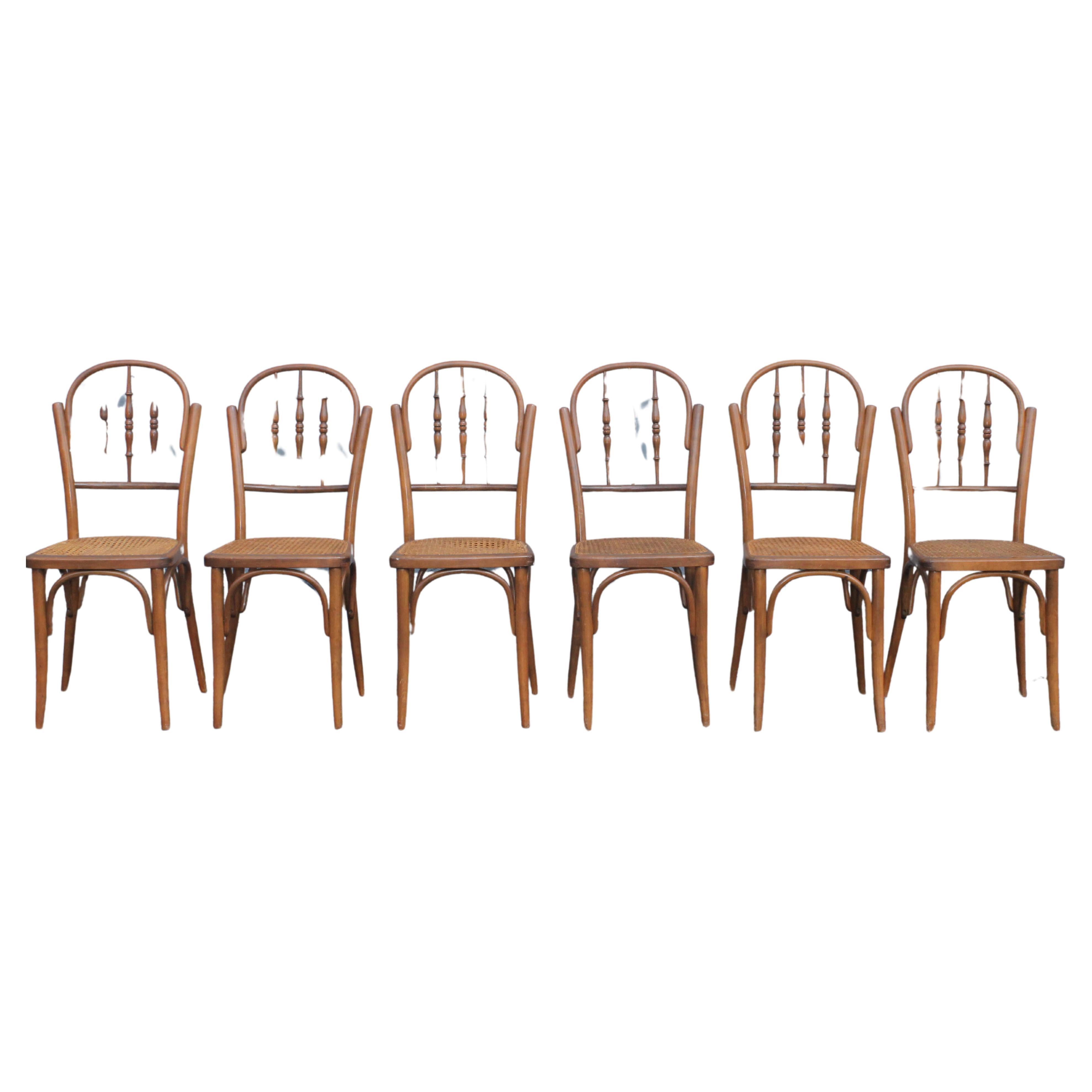 c1940 Ensemble de 6 chaises de salle à manger cannées de style campagnard français