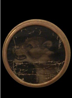 C19th Century oil of a lions head in deep set circular gilt frame