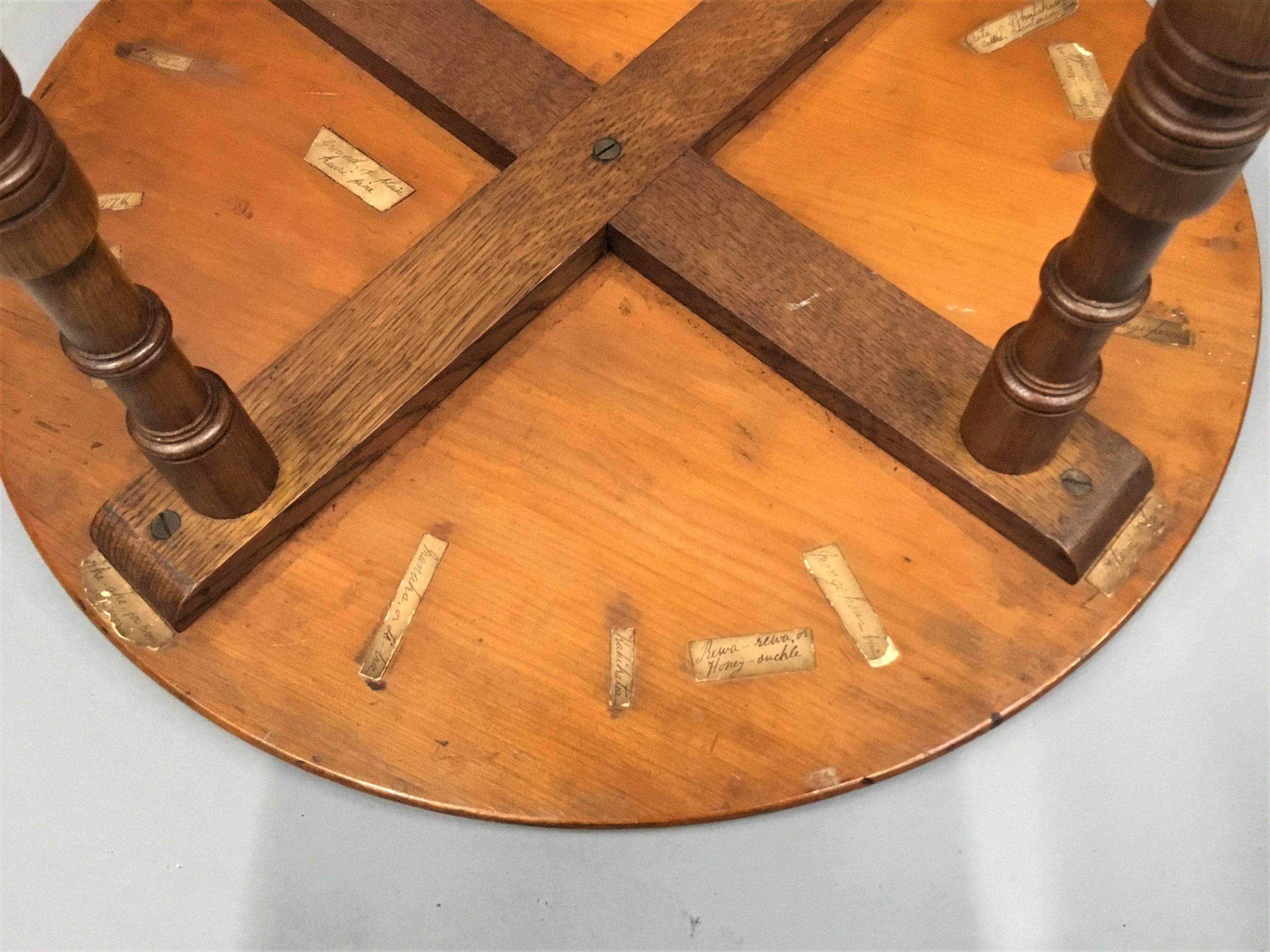 19th Century New Zealand Specimen Wood Table For Sale 6
