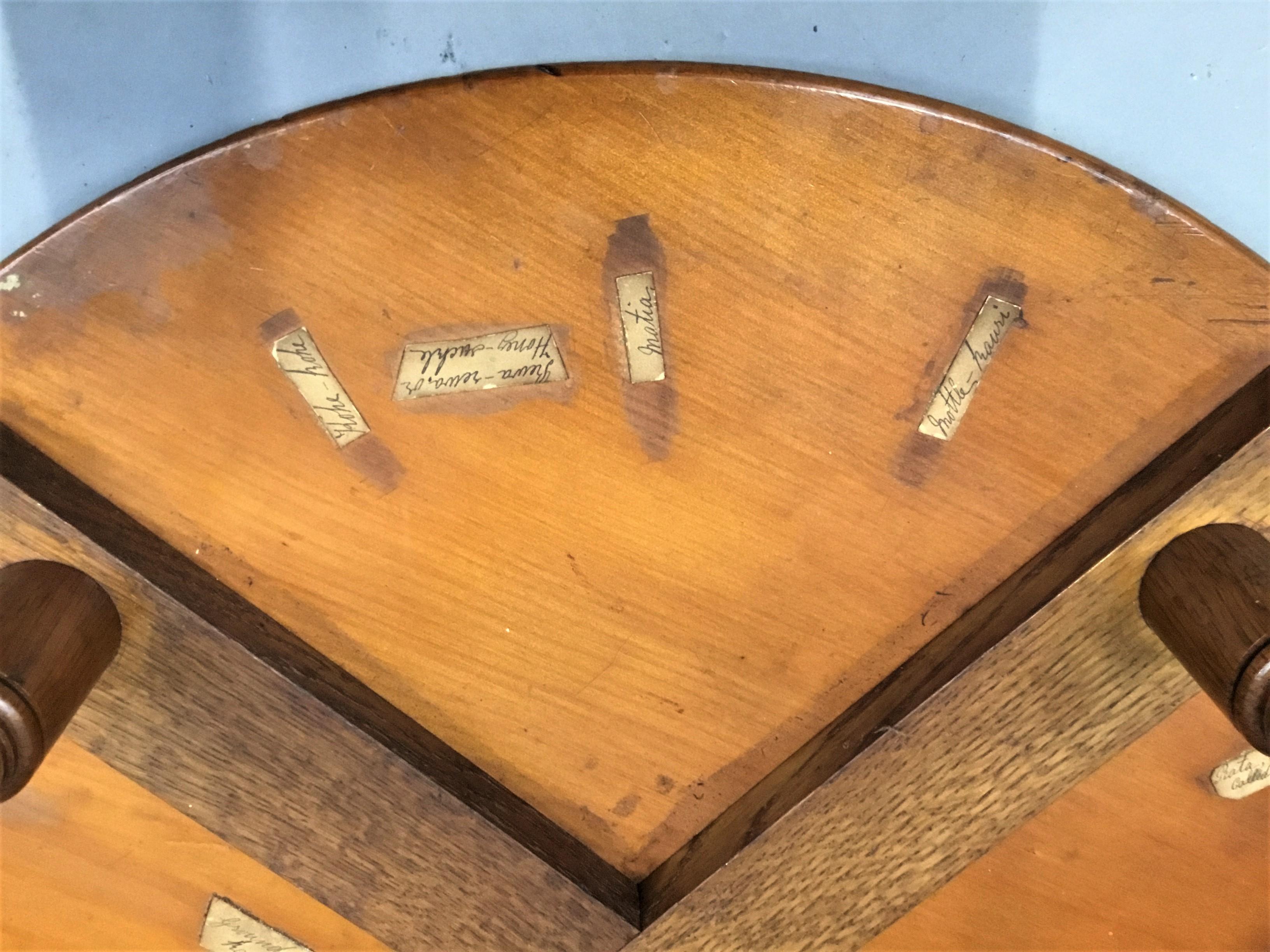 19th Century New Zealand Specimen Wood Table For Sale 8