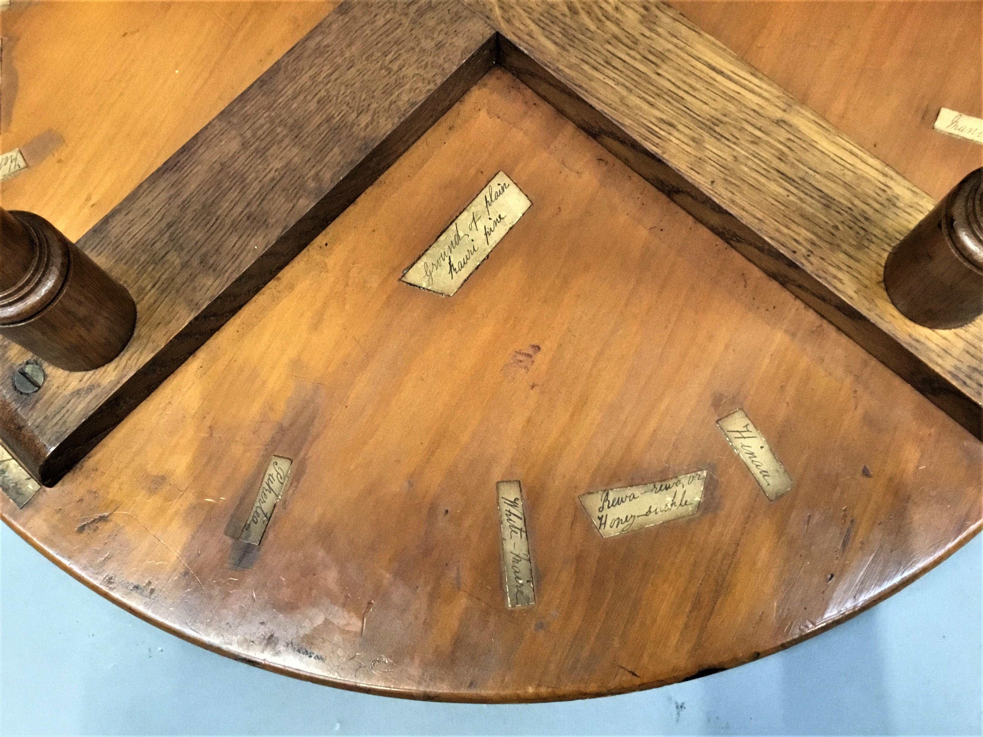 19th Century New Zealand Specimen Wood Table For Sale 9