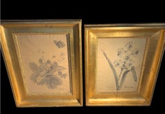 C19th pair of Swedish Empire flower sketches with giltwood frames