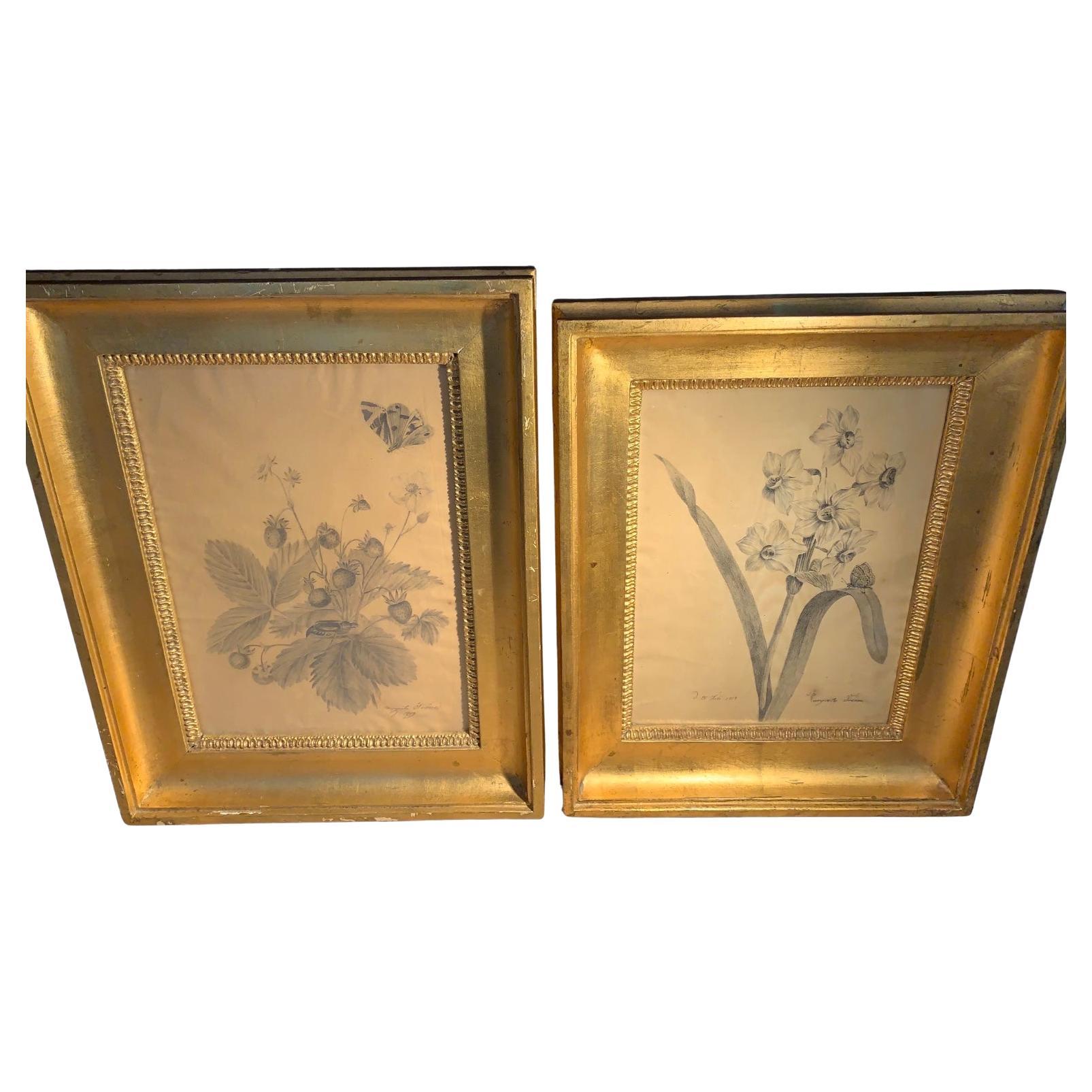 C19th pair of Swedish Empire flower sketches with giltwood frames For Sale