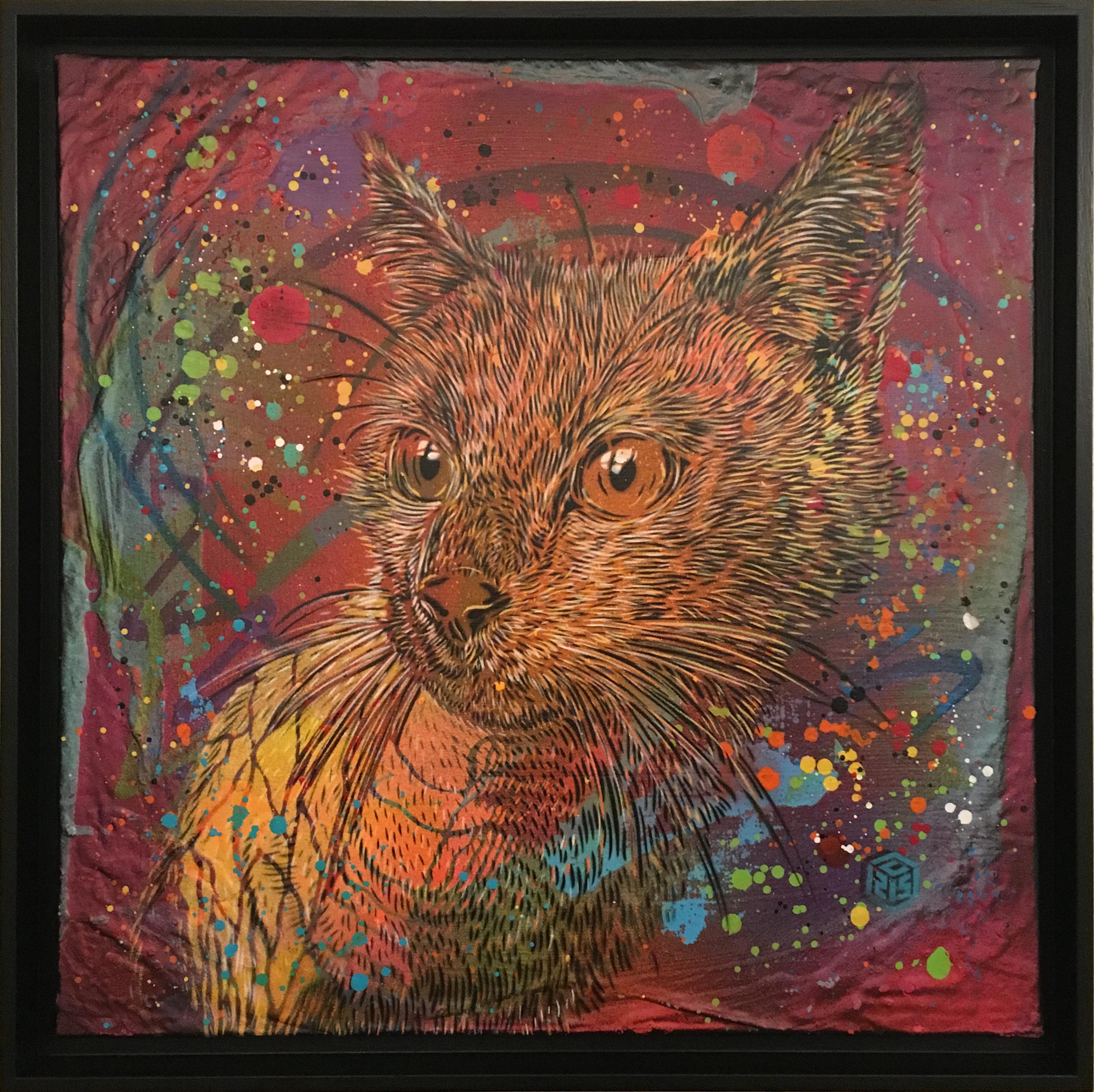 Wild Cat - Art by C215 (Christian Guemy)