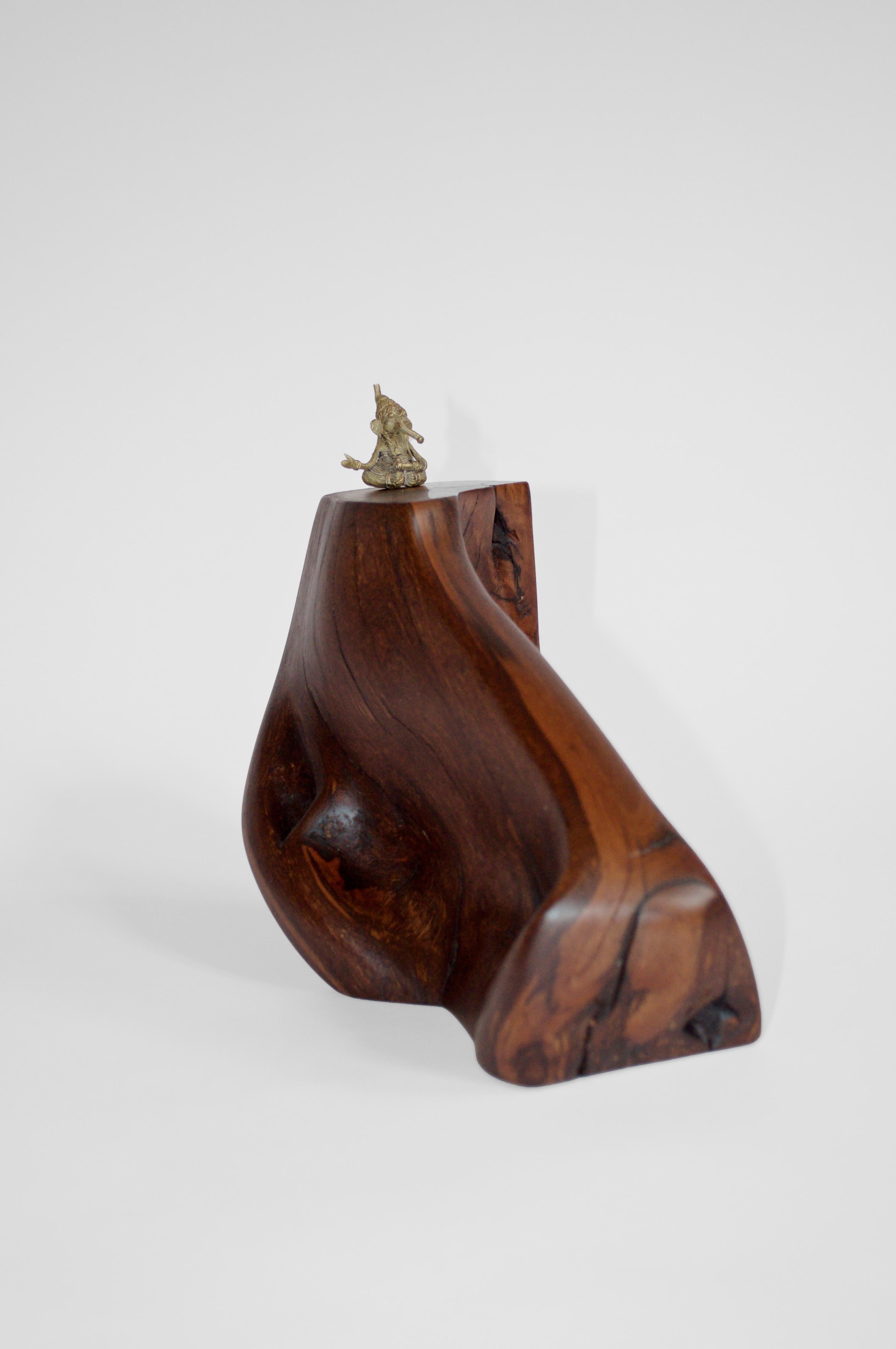 C2280 Decorative Object in Tropical Driftwood And Ebony Wood by Jörg Pietschmann For Sale 3