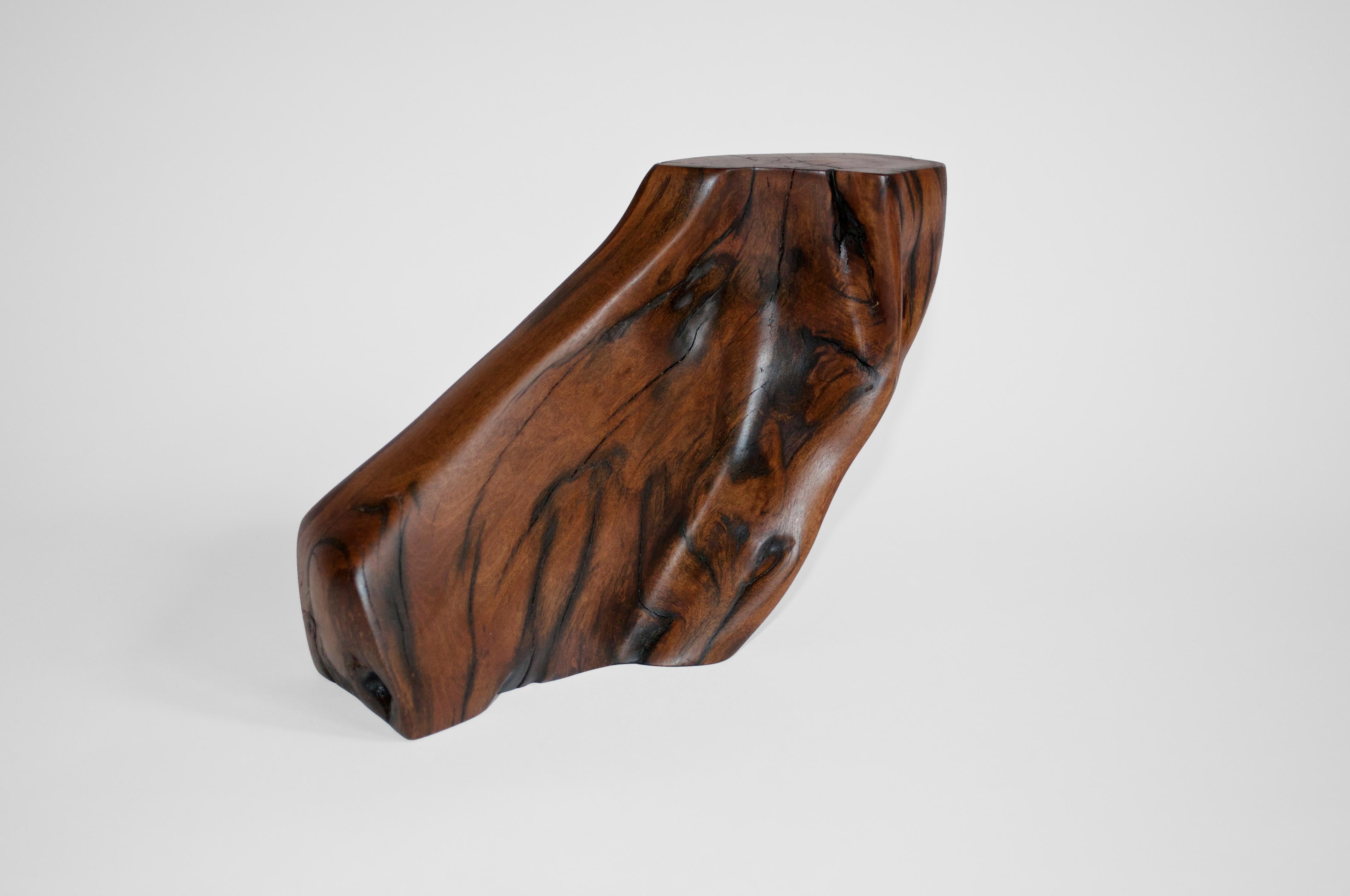 C2280 Decorative Object in Tropical Driftwood And Ebony Wood by Jörg Pietschmann For Sale 6