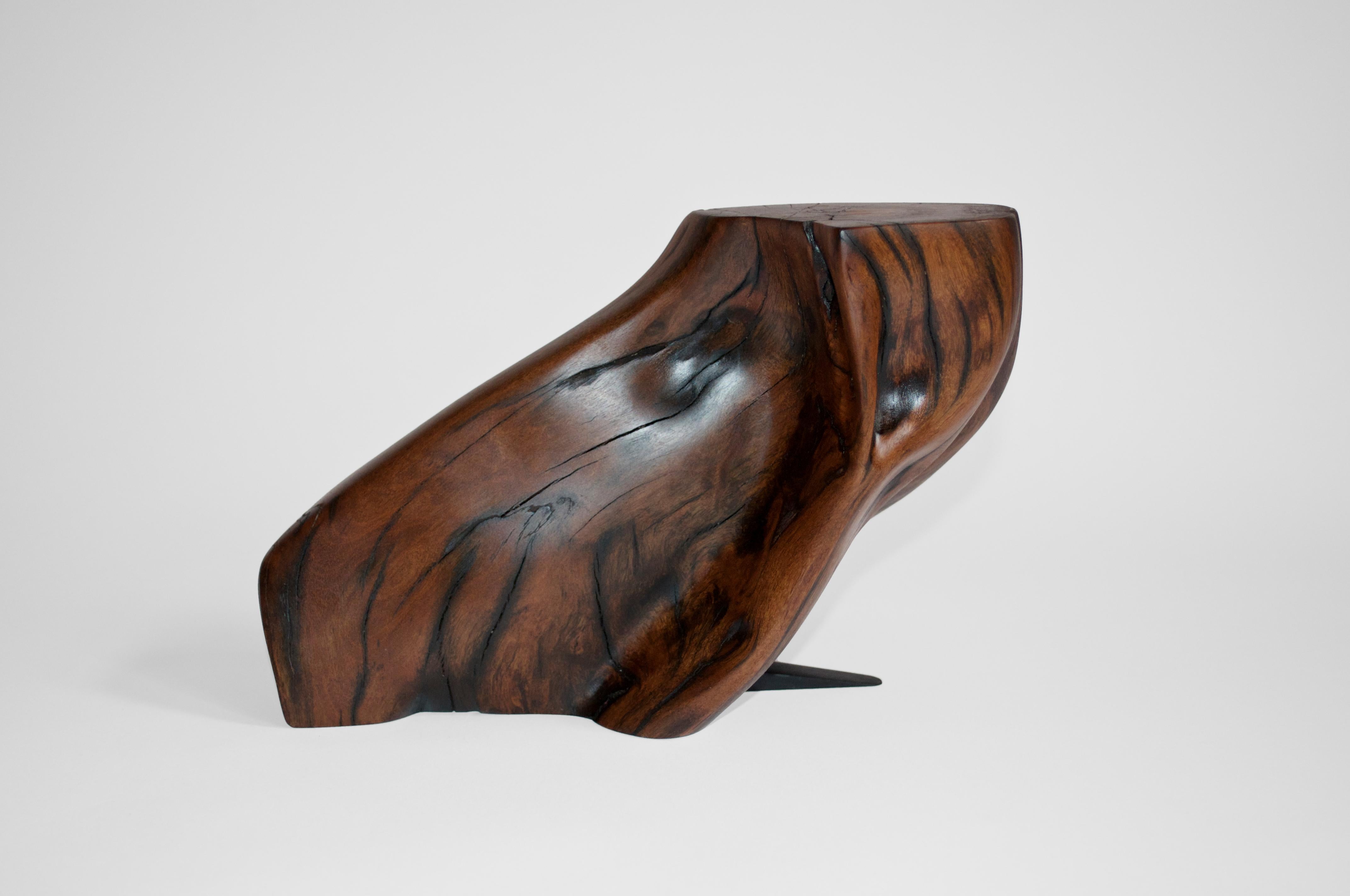 C2280 Decorative Object in Tropical Driftwood And Ebony Wood by Jörg Pietschmann For Sale 7