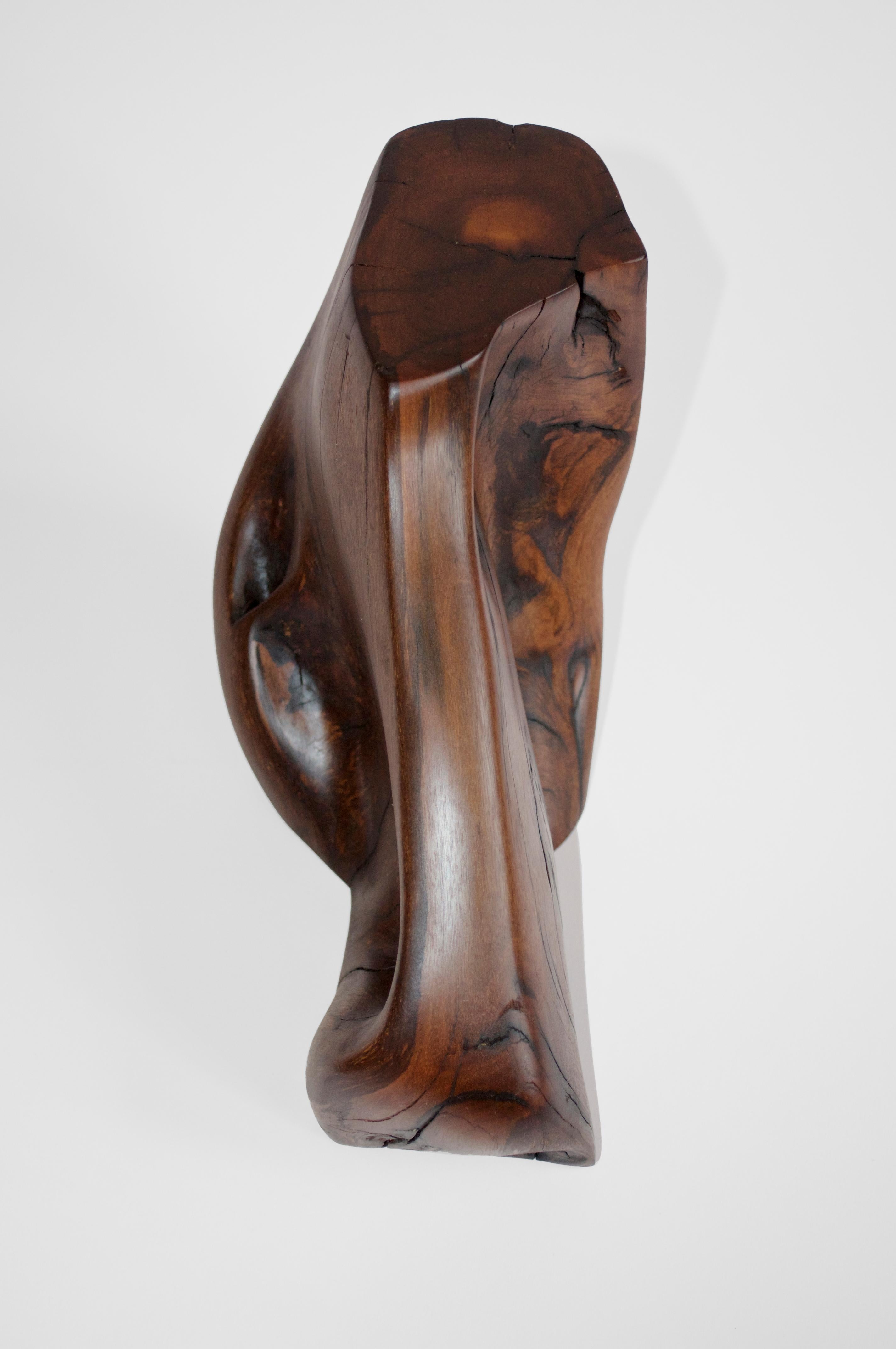 C2280 Decorative Object in Tropical Driftwood And Ebony Wood by Jörg Pietschmann For Sale 8
