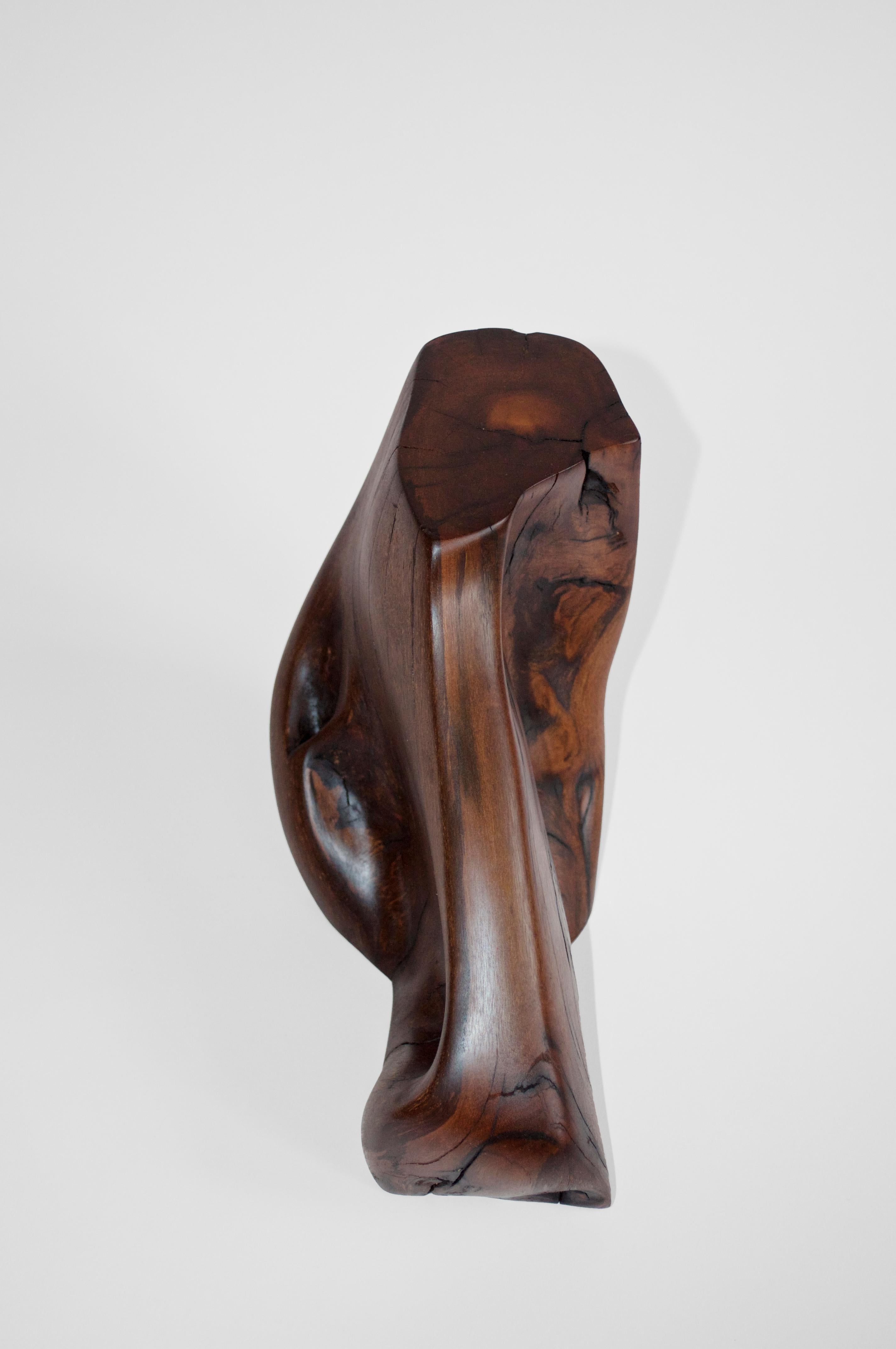 C2280 Decorative Object in Tropical Driftwood And Ebony Wood by Jörg Pietschmann For Sale 9