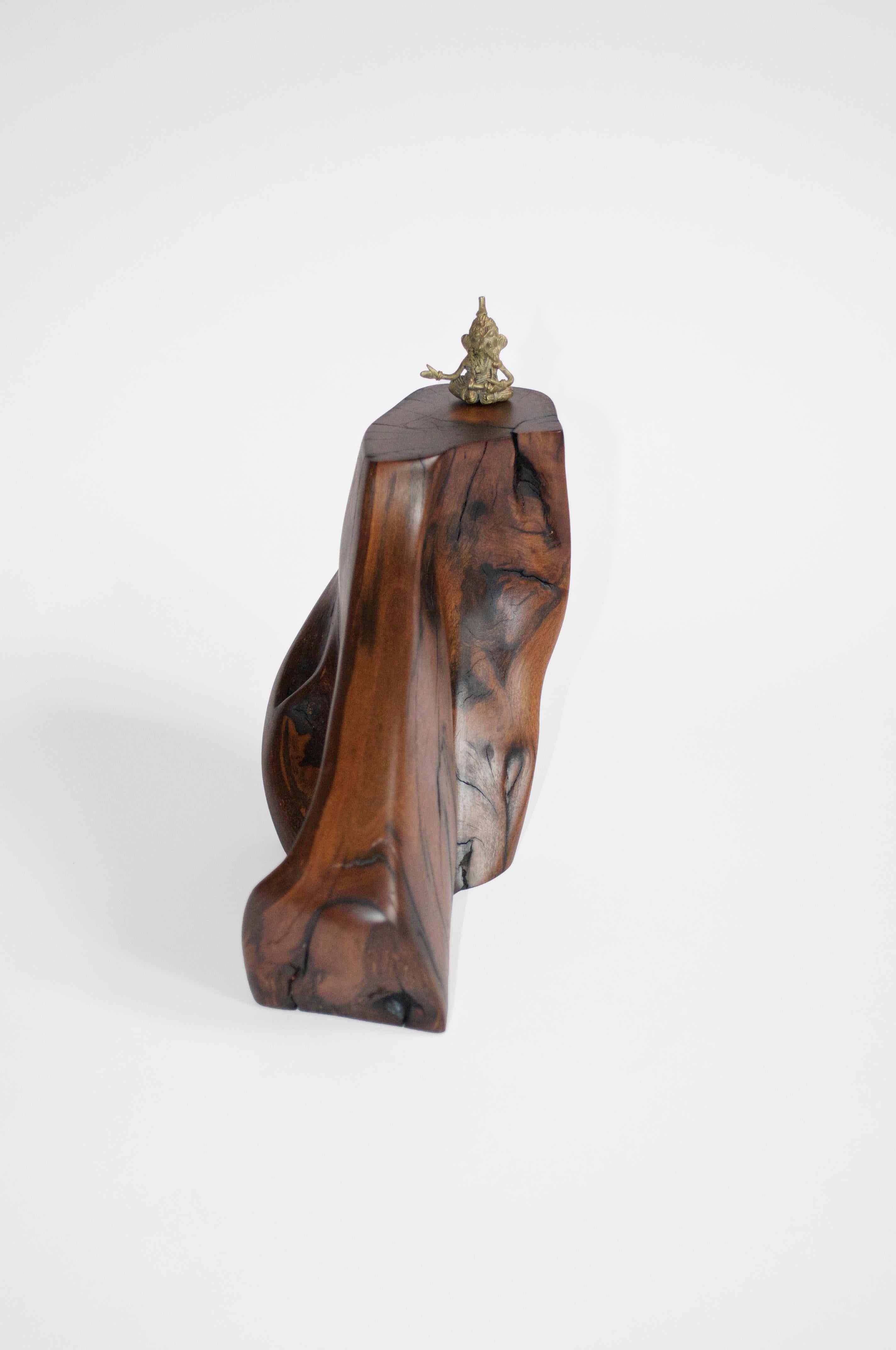 German C2280 Decorative Object in Tropical Driftwood And Ebony Wood by Jörg Pietschmann For Sale