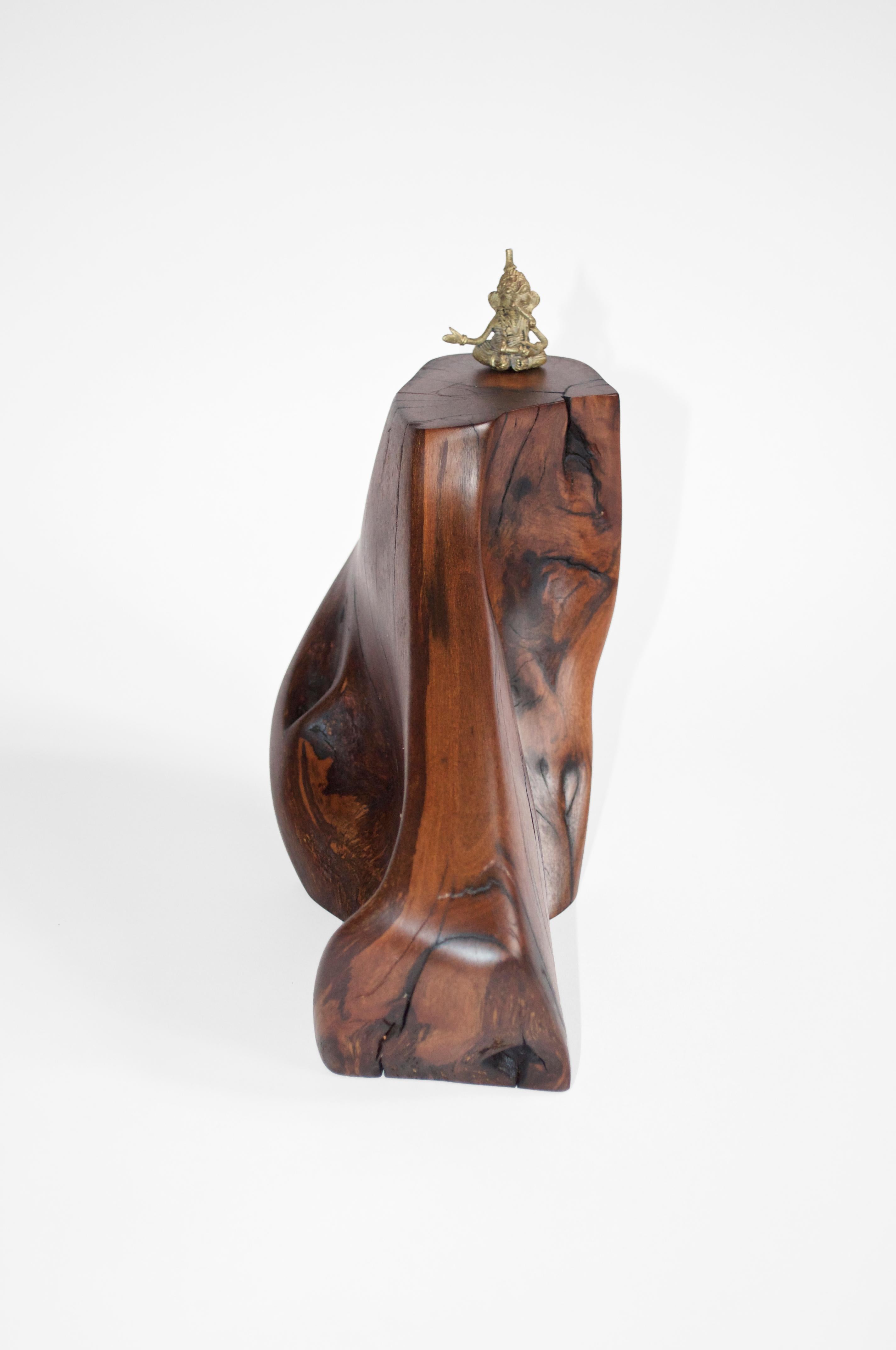 Other C2280 Decorative Object in Tropical Driftwood And Ebony Wood by Jörg Pietschmann For Sale