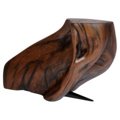 C2280 Decorative Object in Tropical Driftwood And Ebony Wood by Jörg Pietschmann