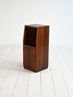 Cabinet with vinyl compartment