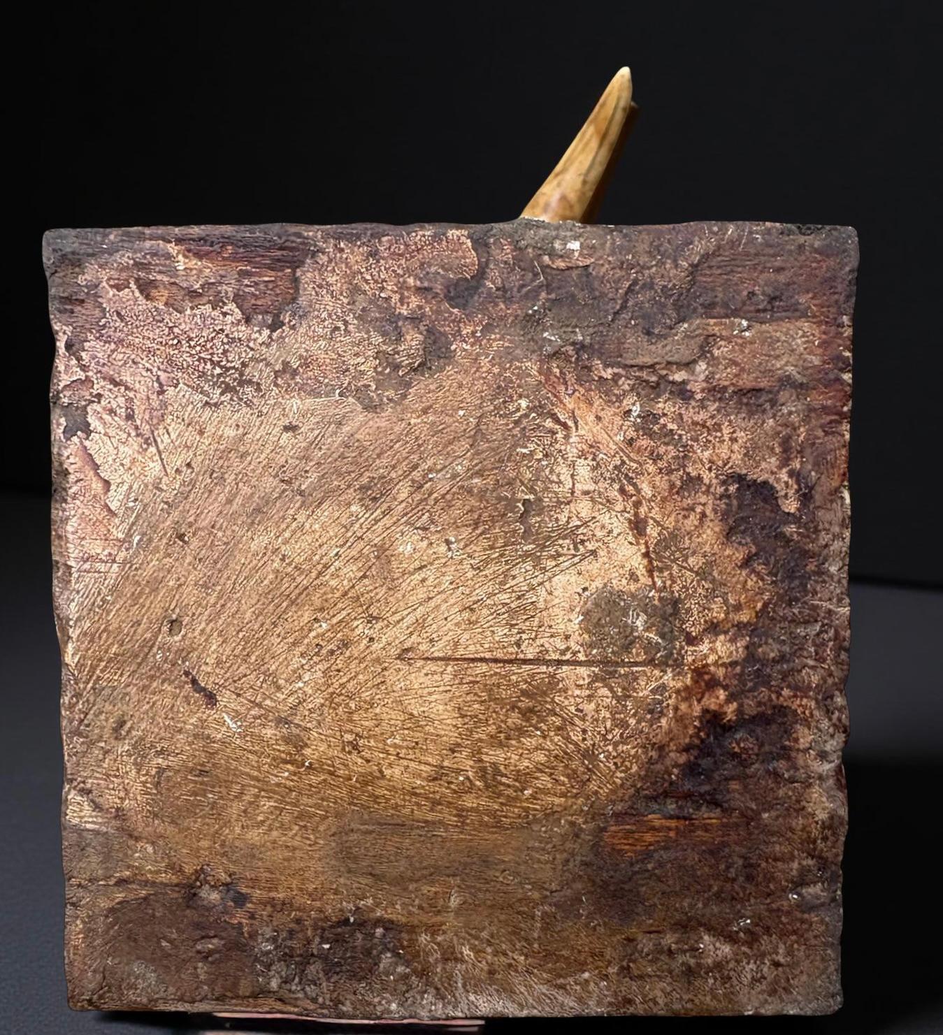 Cabinet de curiosité Wunderkammer Paire de défenses de phacochères du XVIIIe siècle en vente 5