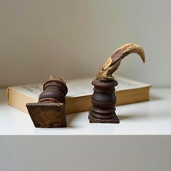 Cabinet de curiosité Wunderkammer Paire de défenses de phacochères du XVIIIe siècle