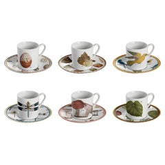 Cabinet de Curiosités, Six Contemporary Decorated Coffee Cups with Plates