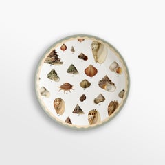 Cabinet de Curiosités, Six Contemporary Decorated Porcelain Dessert Plates