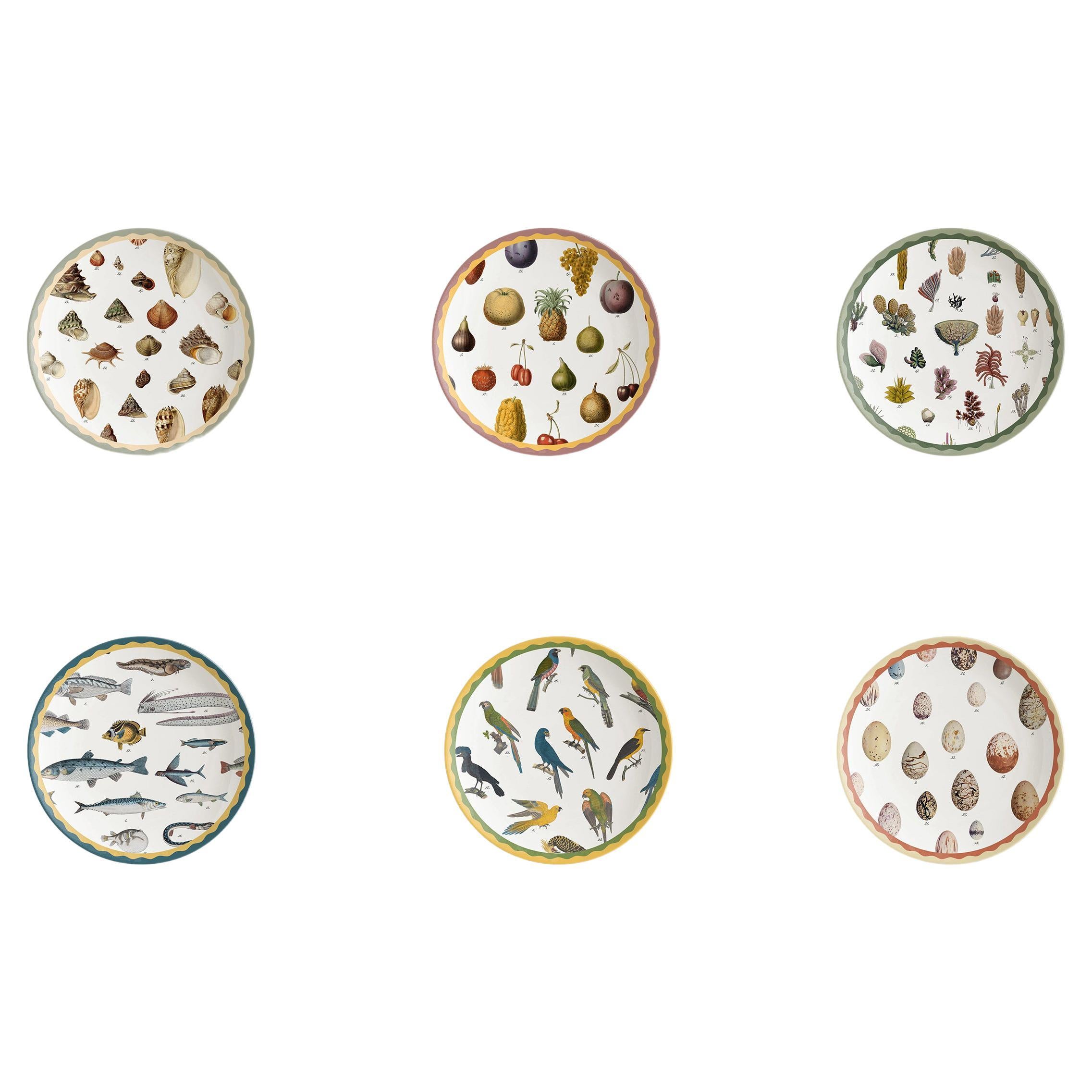 Cabinet de Curiosités, Six Contemporary Decorated Porcelain Dessert Plates