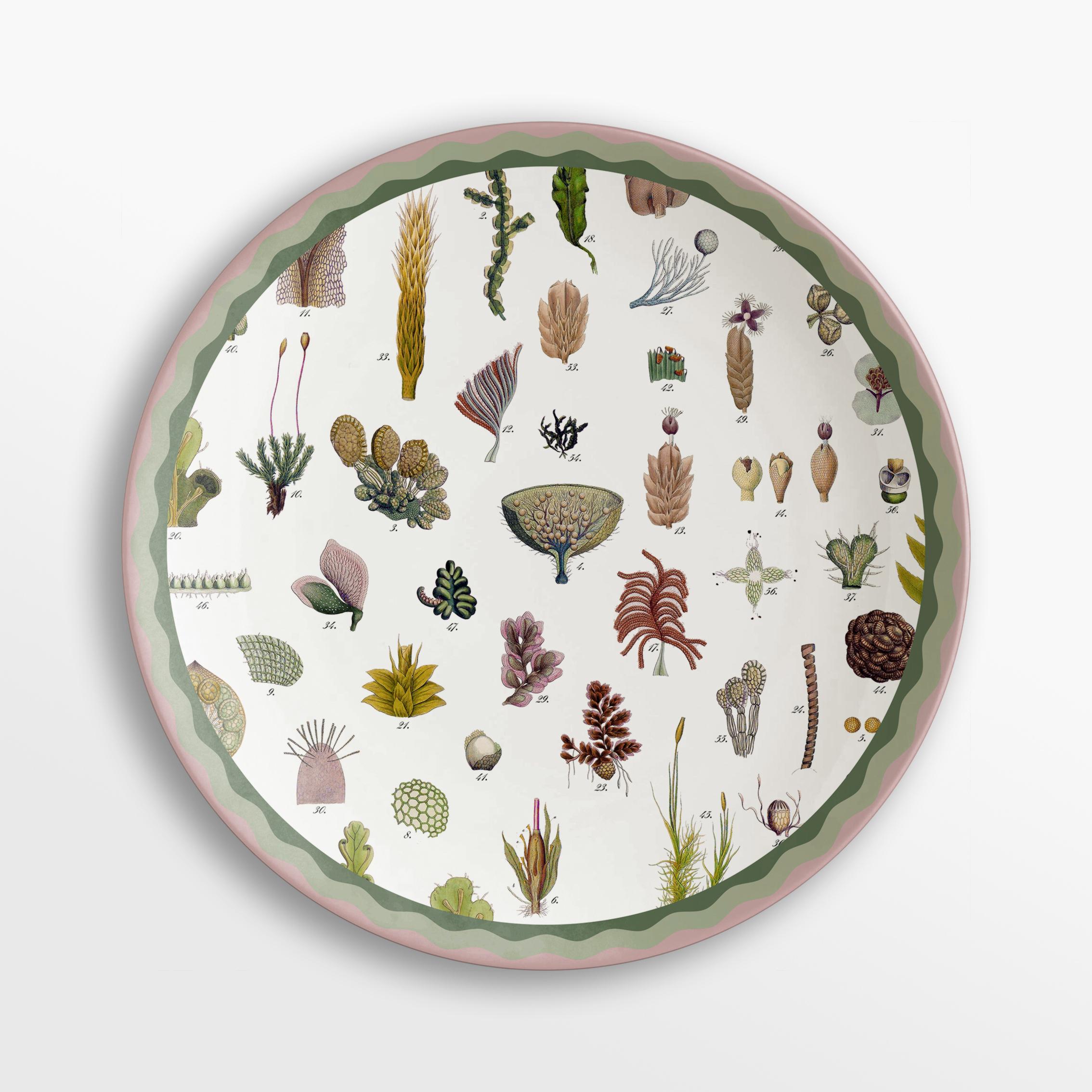 Cabinet de Curiosités, Six Contemporary Decorated Porcelain Dinner Plates In New Condition For Sale In Milano, Lombardia