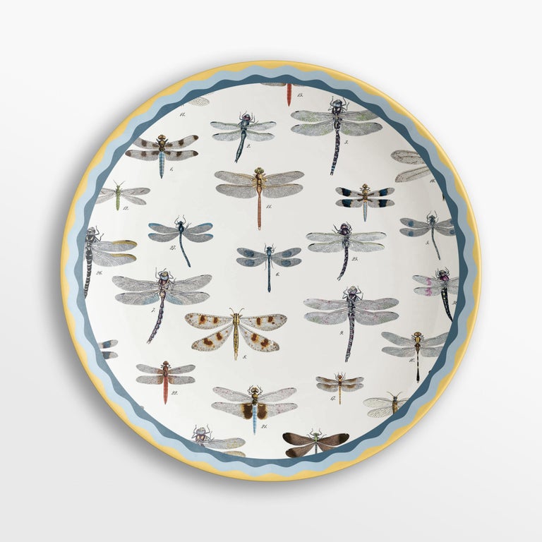 Cabinet de Curiosités, Six Contemporary Decorated Porcelain Dinner Plates For Sale 2