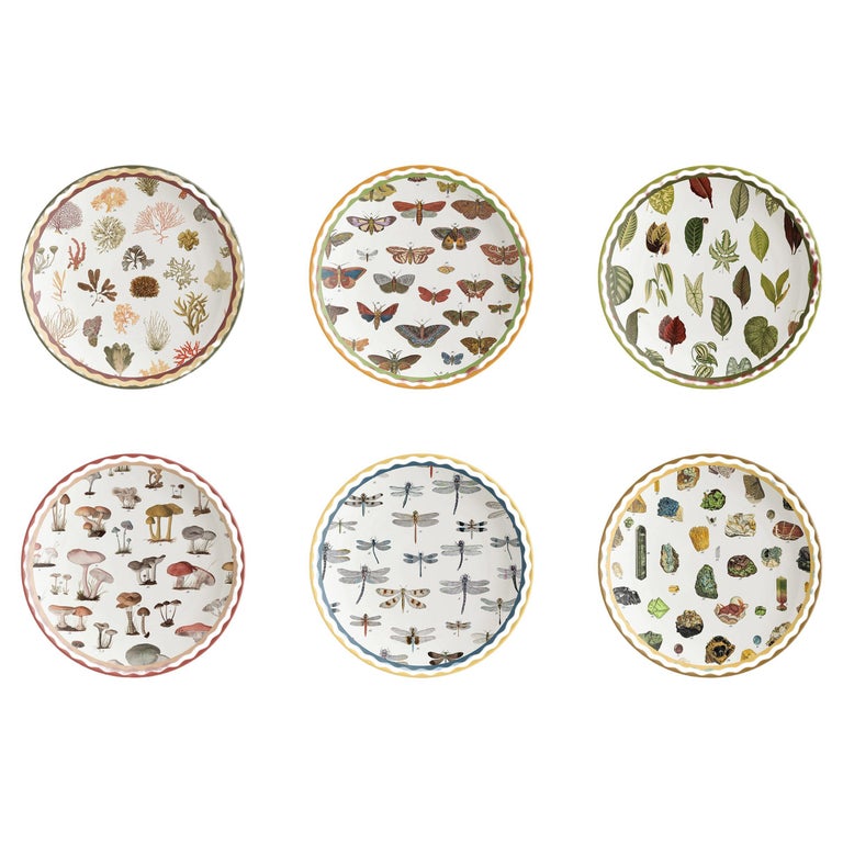 Cabinet de Curiosités, Six Contemporary Decorated Porcelain Dinner Plates For Sale