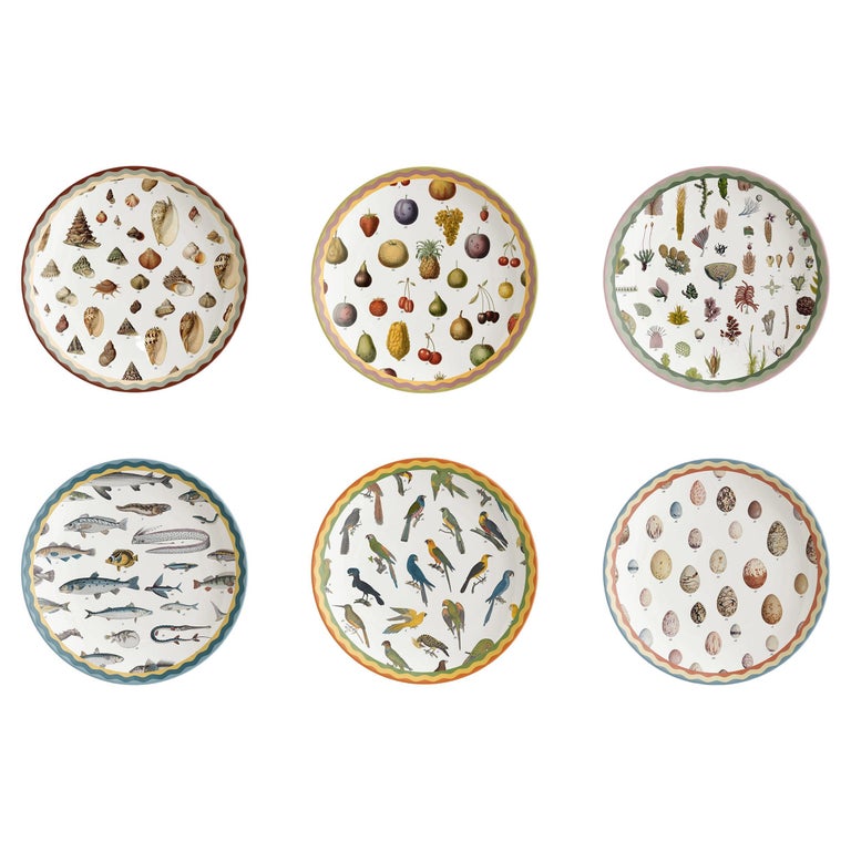 Cabinet de Curiosités, Six Contemporary Decorated Porcelain Dinner Plates For Sale
