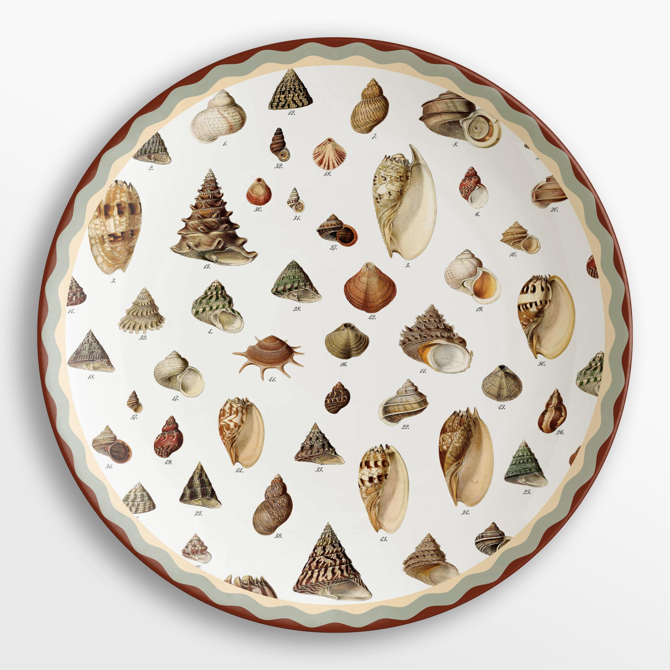 La collection du cabinet de Curiosités s'inspire des pièces du même nom qui, au XVIe siècle, rassemblaient des objets et des sujets de toutes sortes. Dans cette collection, environ 450 éléments différents sont répartis en 12 familles et permettent